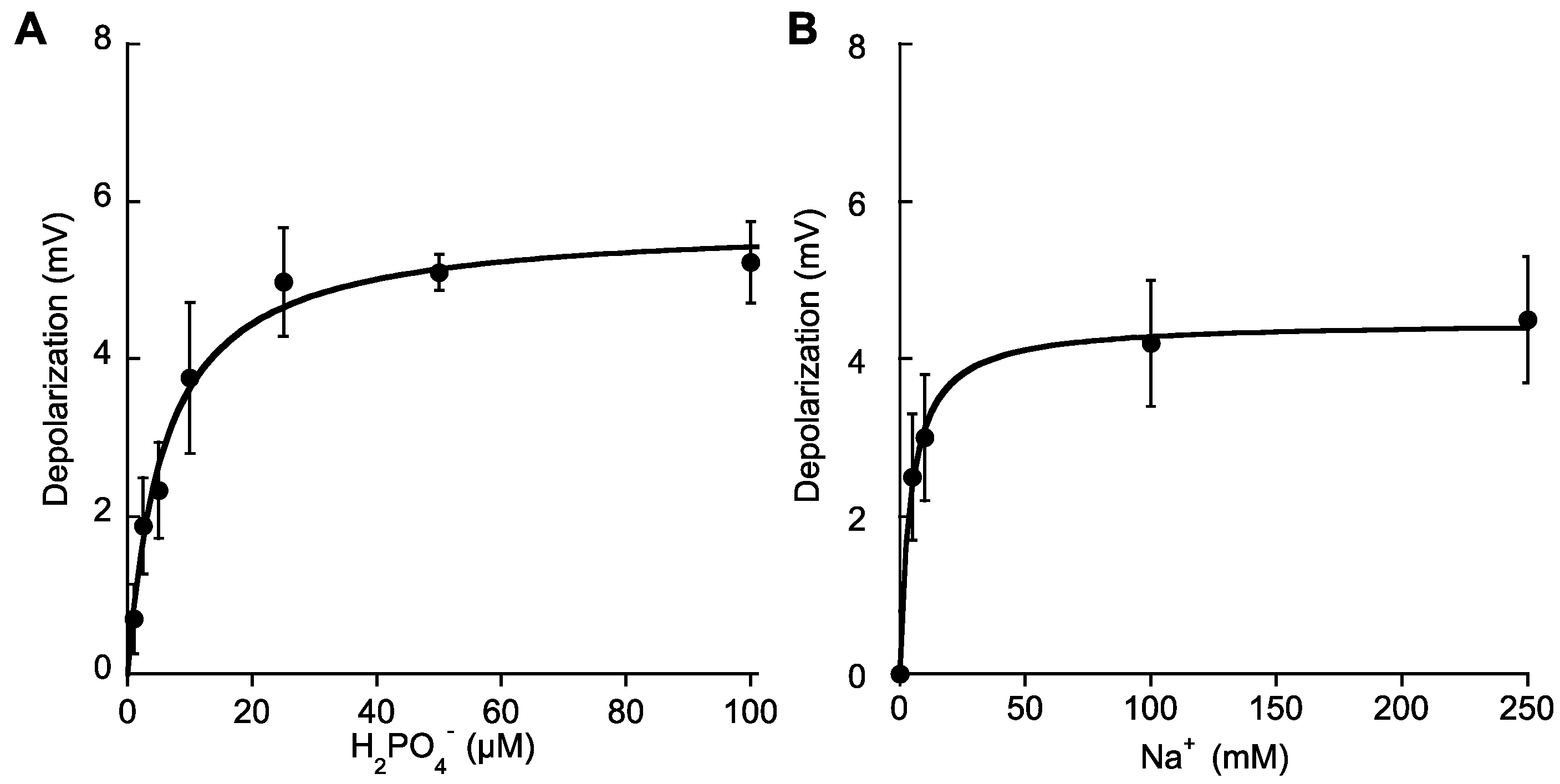 Ijms 19 01570 g004 Ijms 19 01570 g004