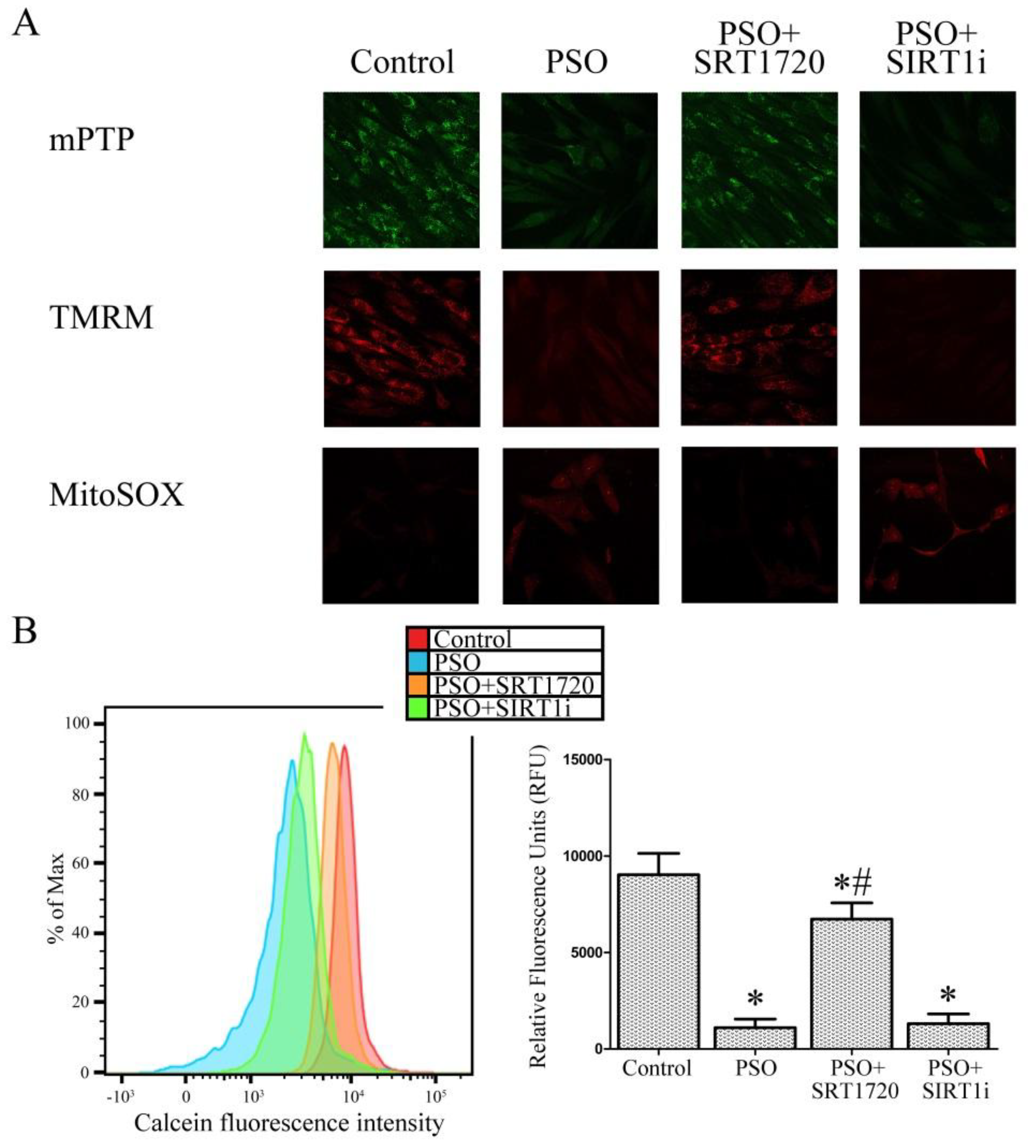 Ijms 19 01572 g004a