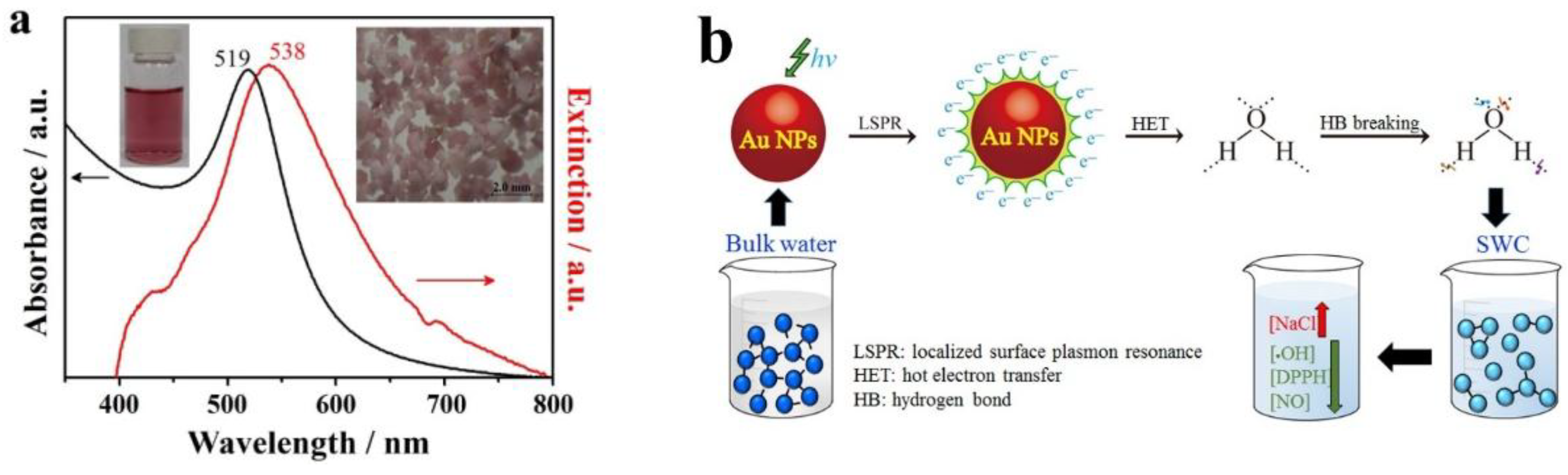 Ijms 19 01589 g001 Ijms 19 01589 g001
