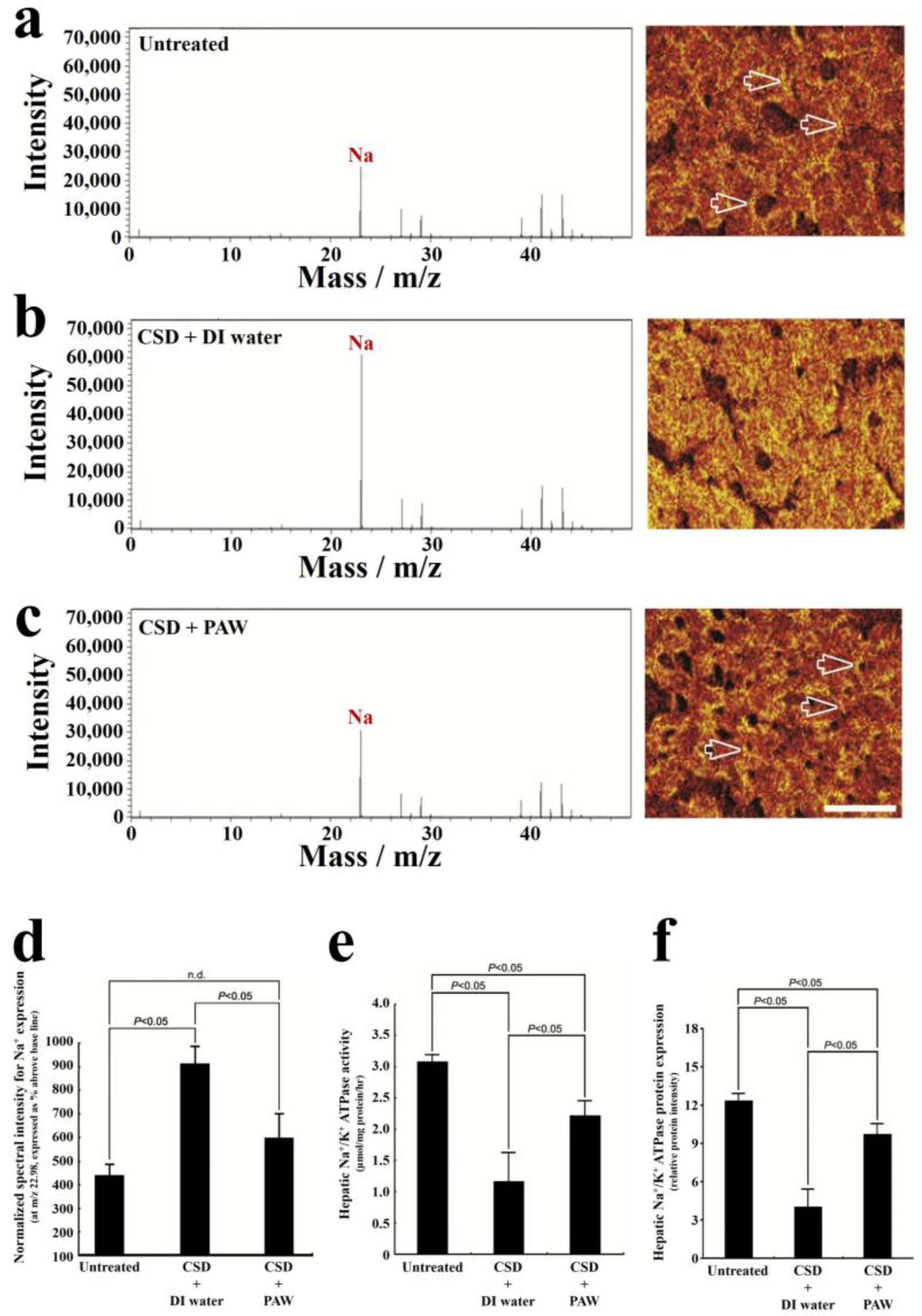 Ijms 19 01589 g008 Ijms 19 01589 g008