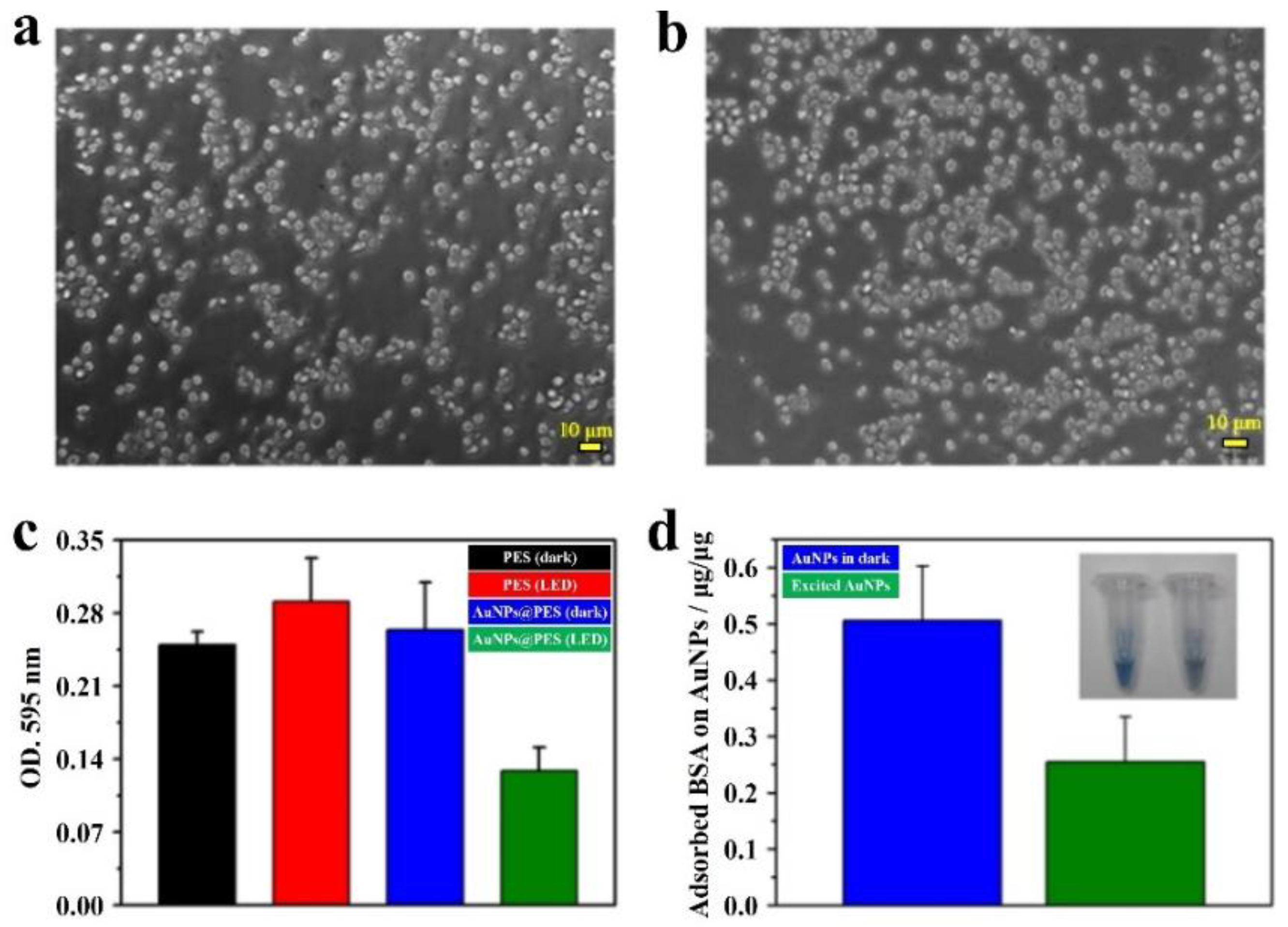 Ijms 19 01589 g010 Ijms 19 01589 g010