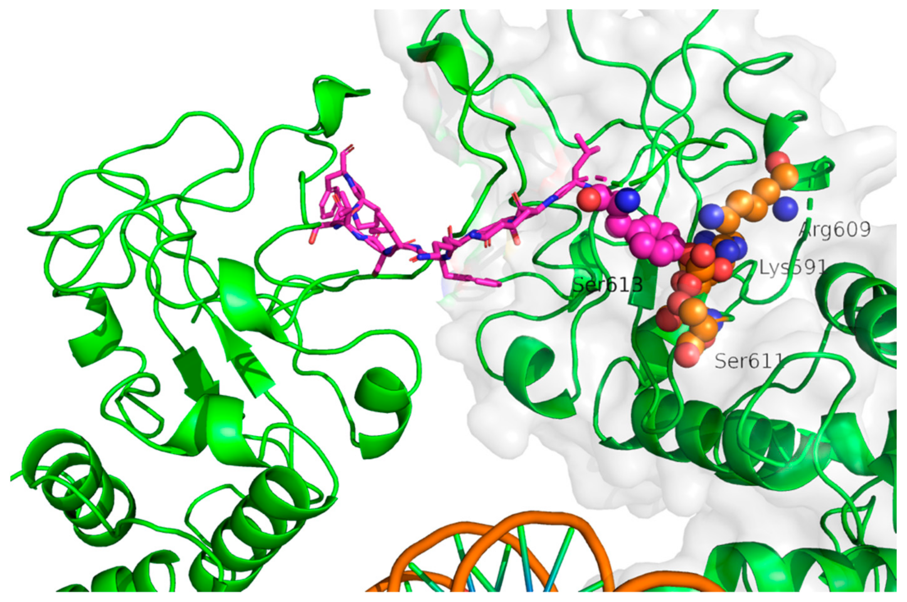 Ijms 19 01591 g003