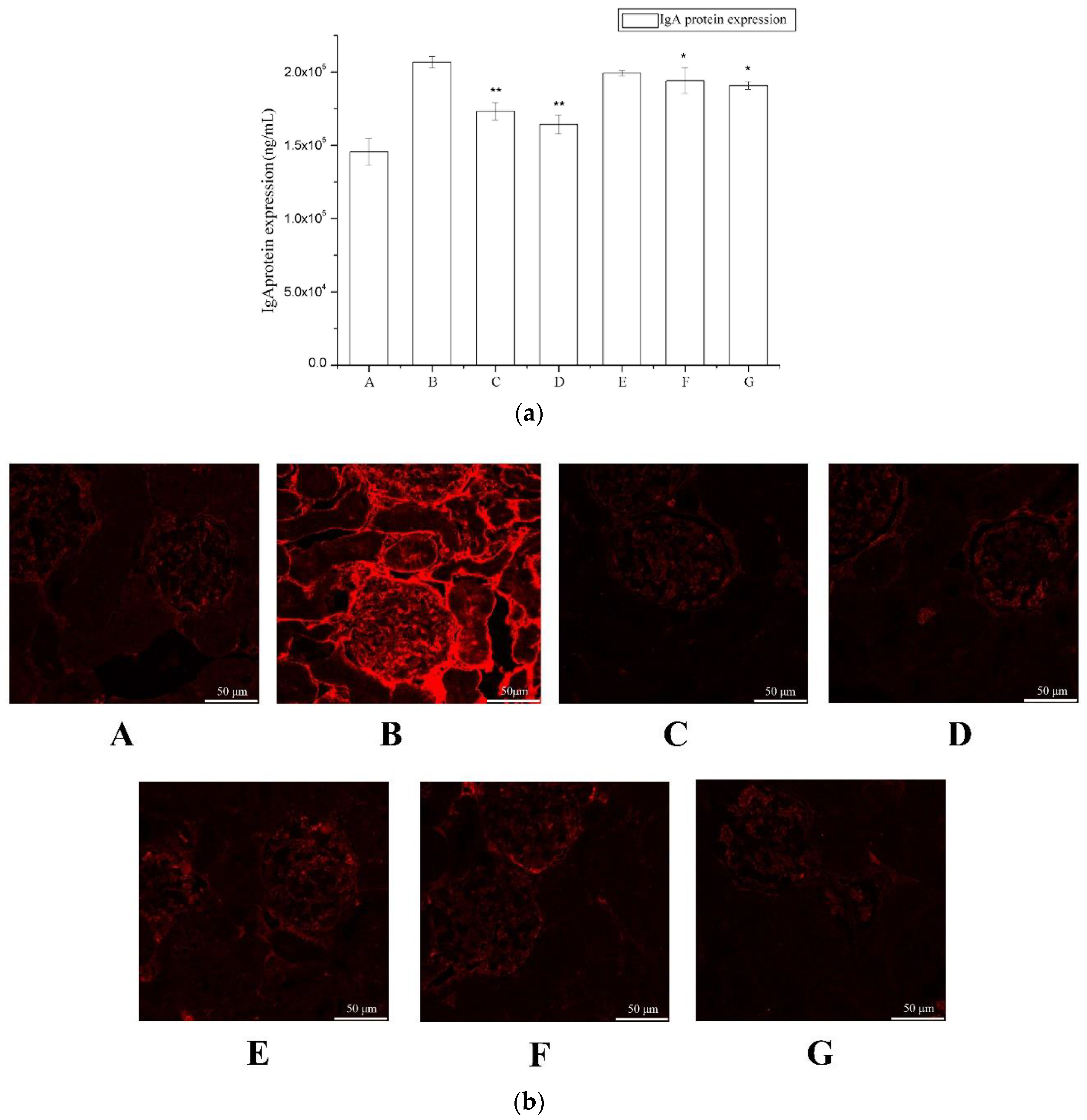 Ijms 19 01599 g003 Ijms 19 01599 g003