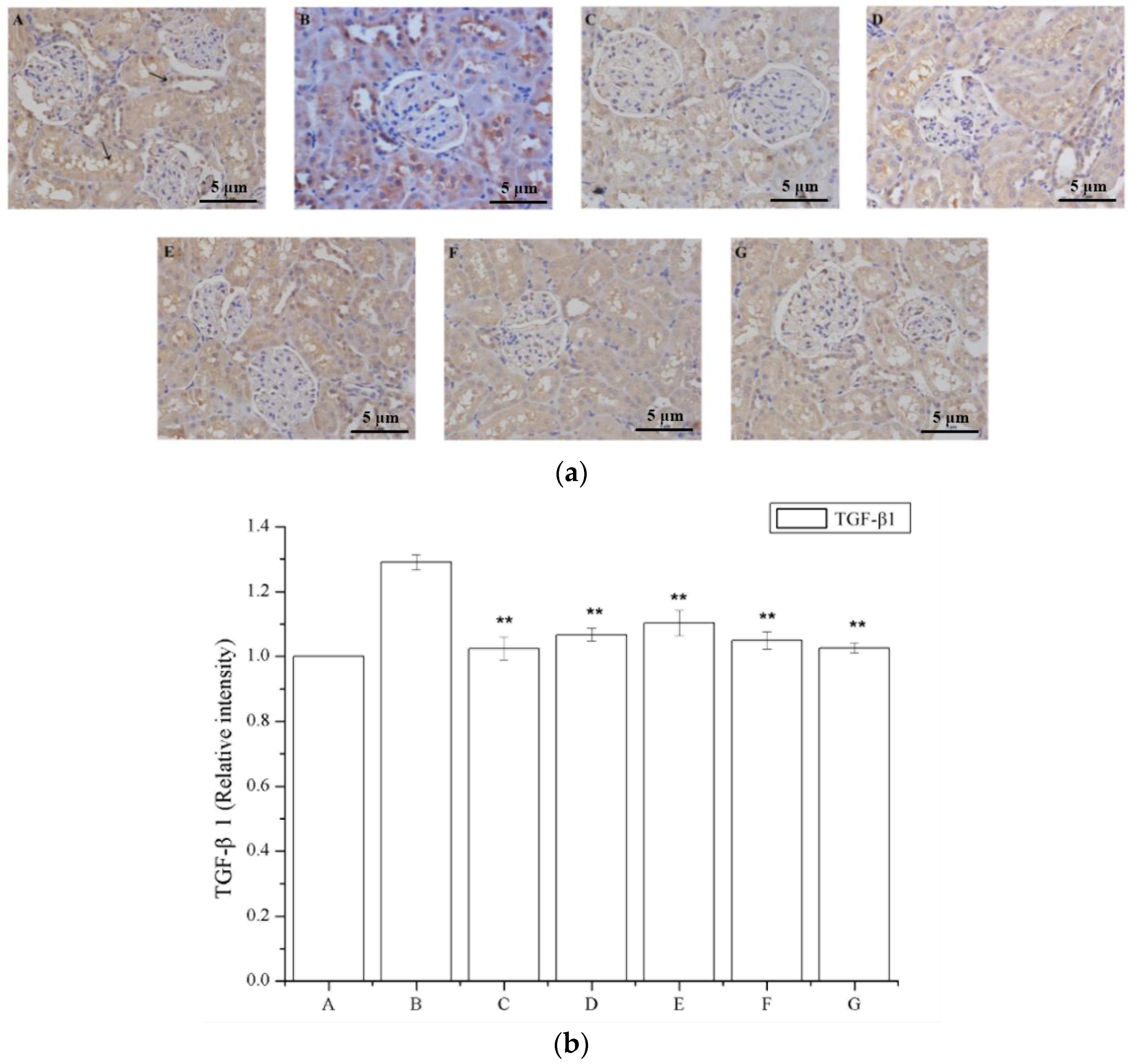 Ijms 19 01599 g006a Ijms 19 01599 g006a