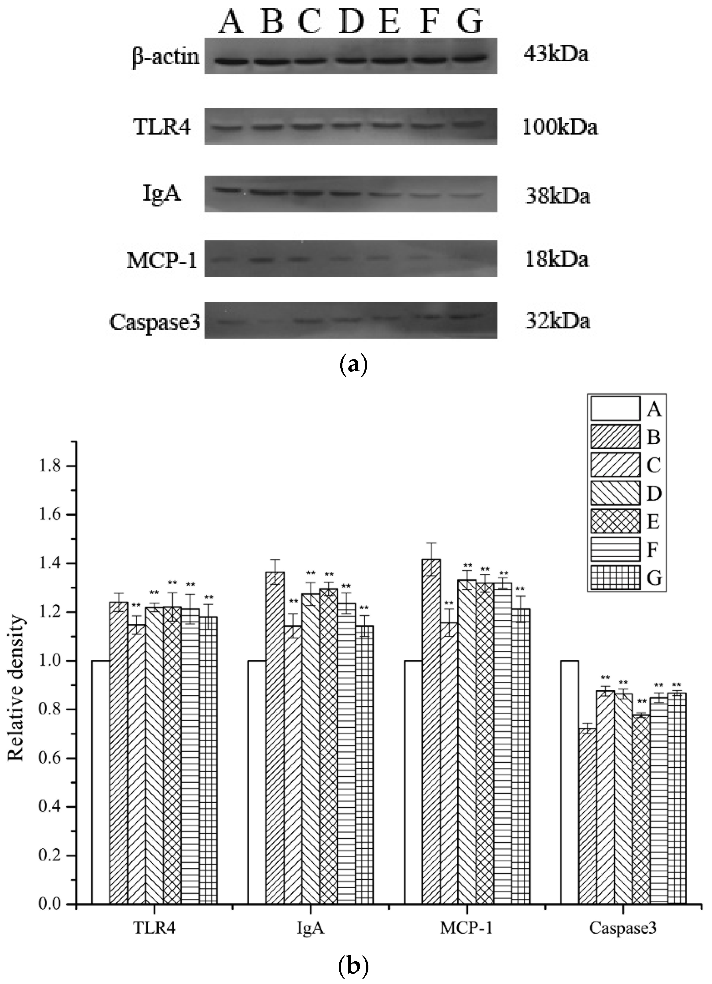 Ijms 19 01599 g008 Ijms 19 01599 g008