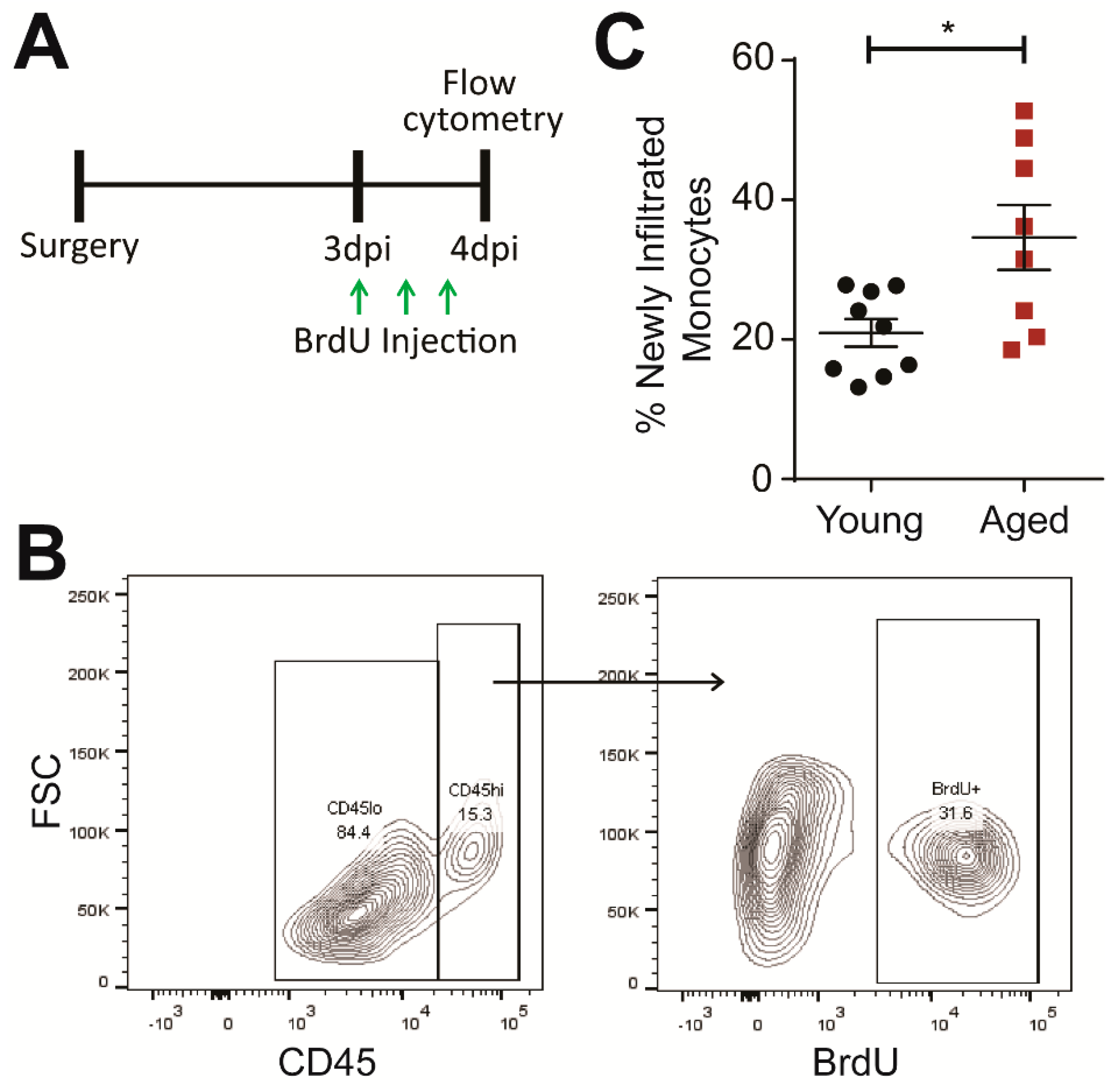Ijms 19 01616 g002 Ijms 19 01616 g002