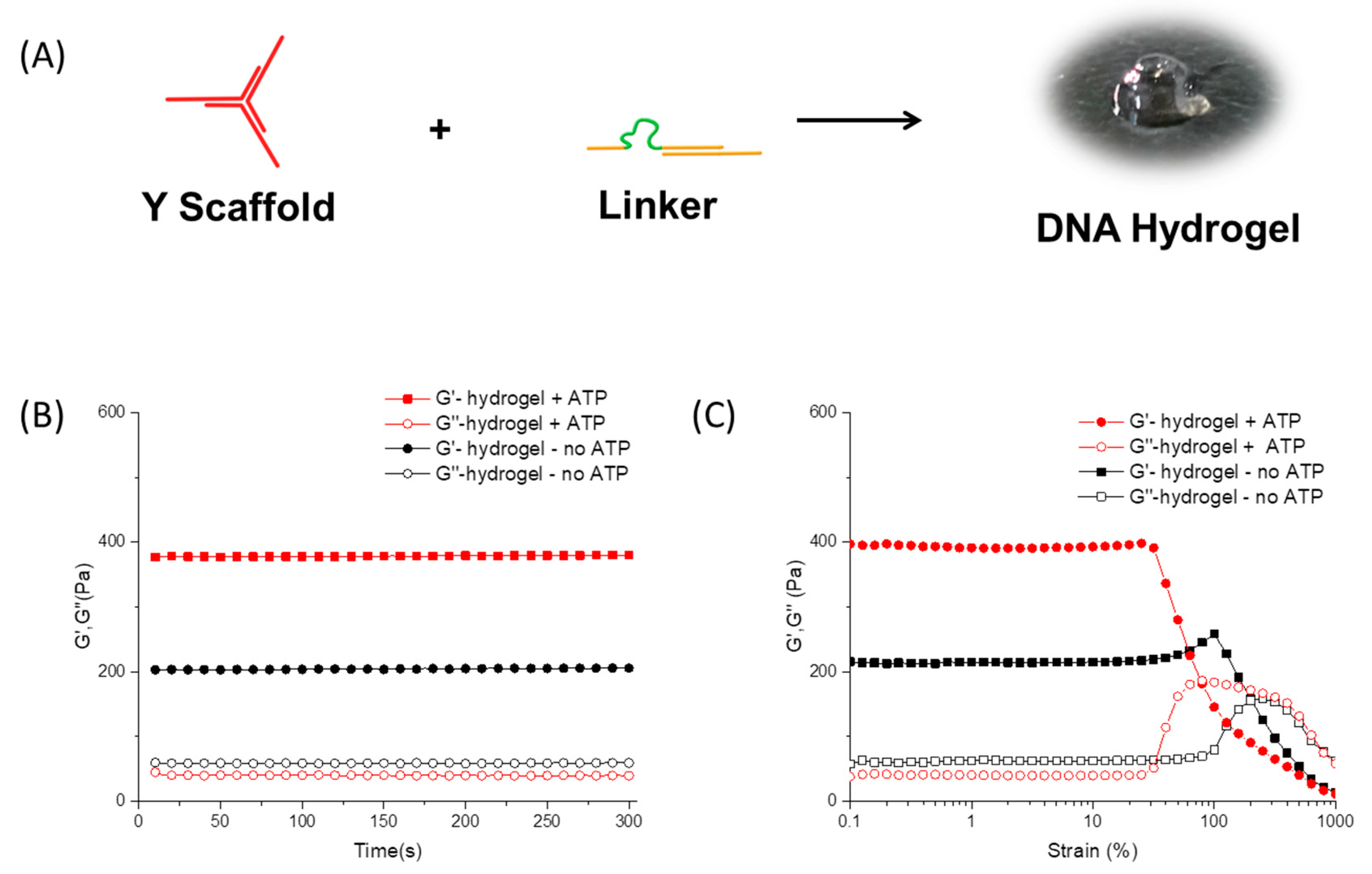 Ijms 19 01633 g002 Ijms 19 01633 g002