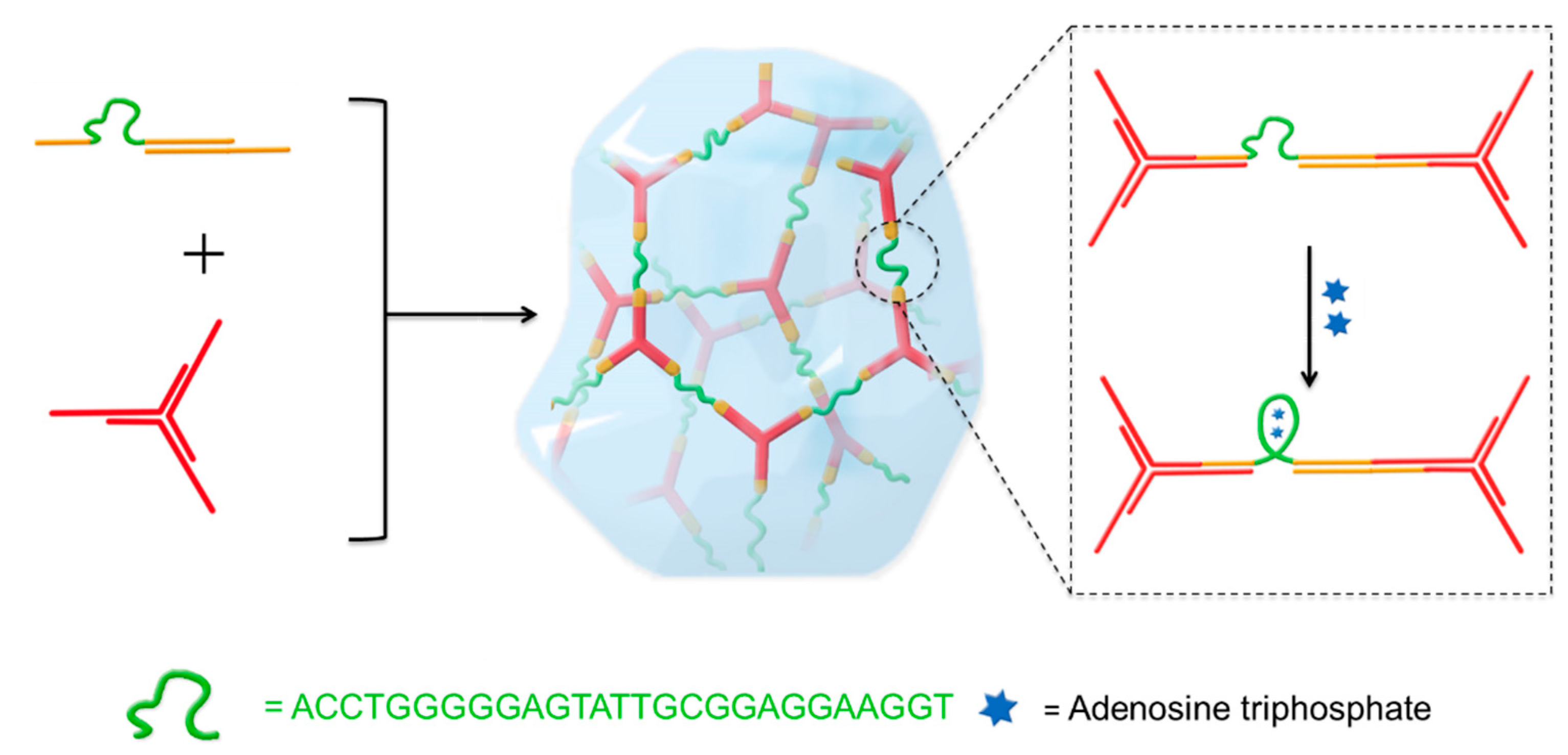 Ijms 19 01633 sch001 Ijms 19 01633 sch001