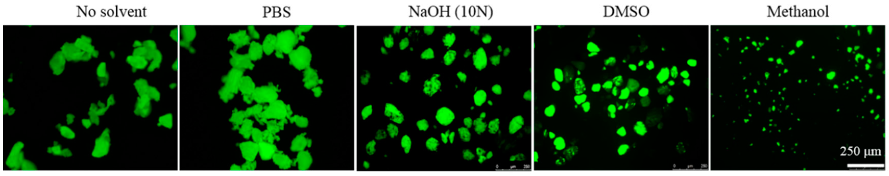 Ijms 19 01637 g002 Ijms 19 01637 g002