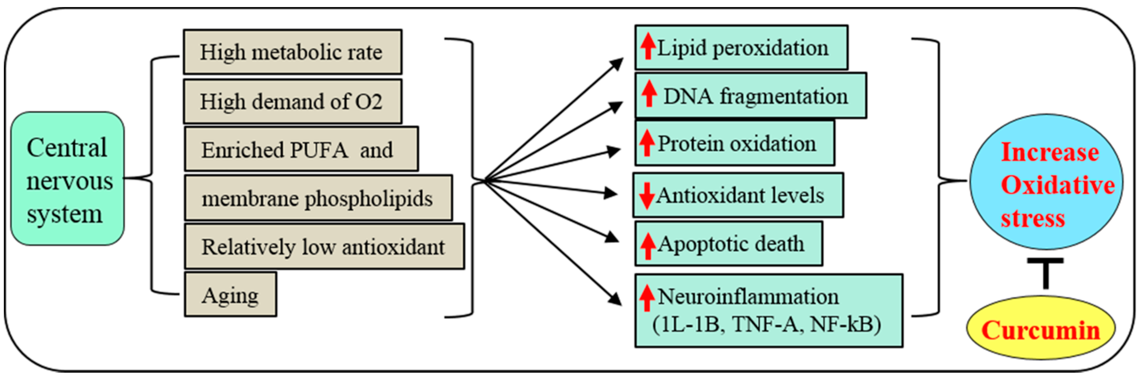Ijms 19 01637 g003 Ijms 19 01637 g003