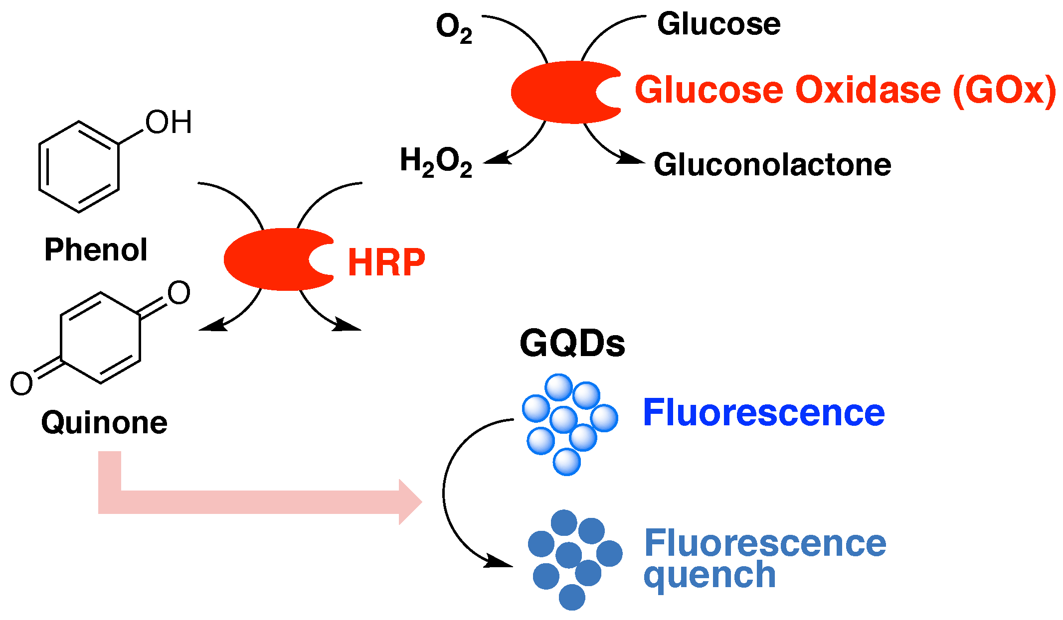 Ijms 19 01696 sch001