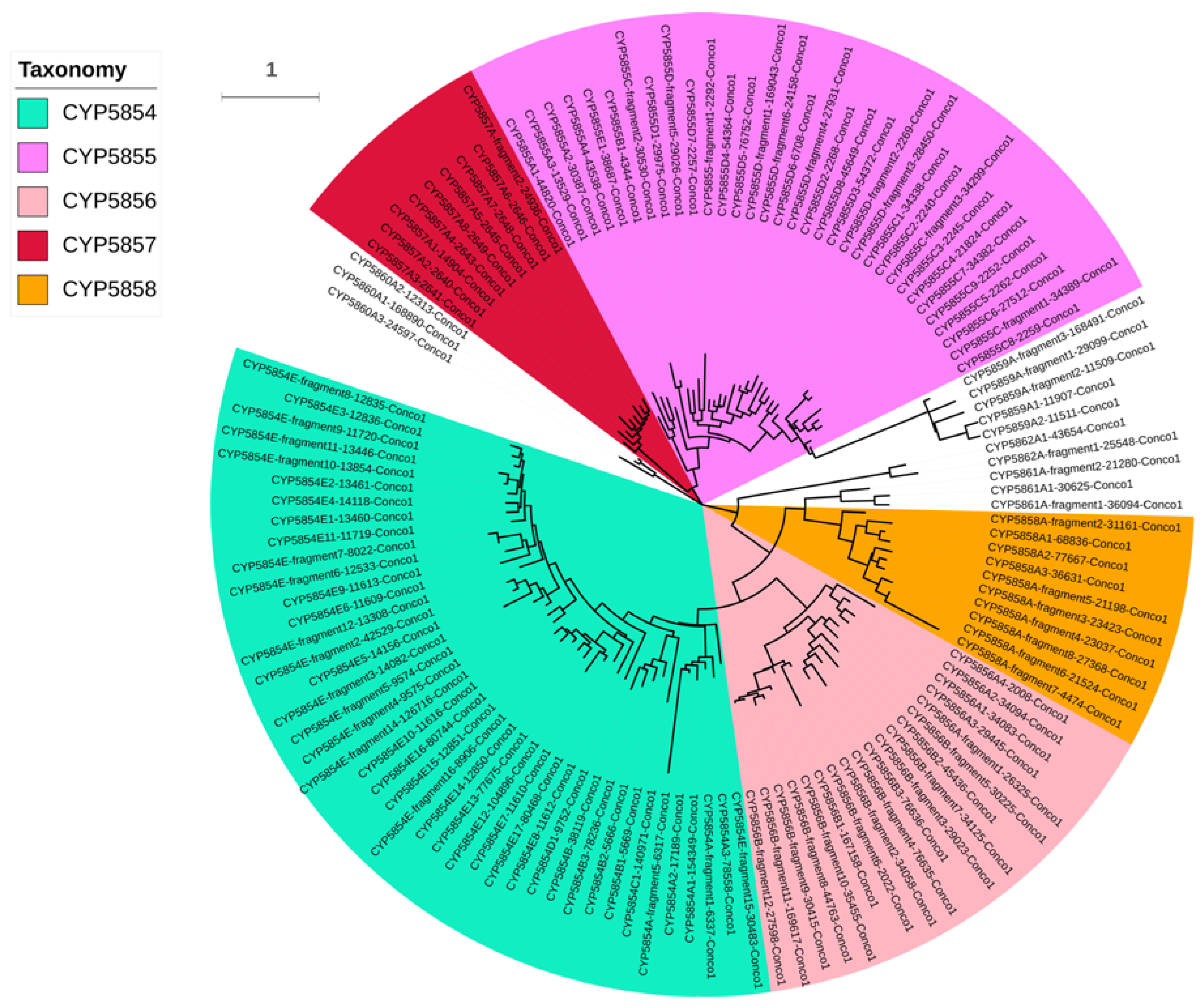 Ijms 19 01711 g001 Ijms 19 01711 g001