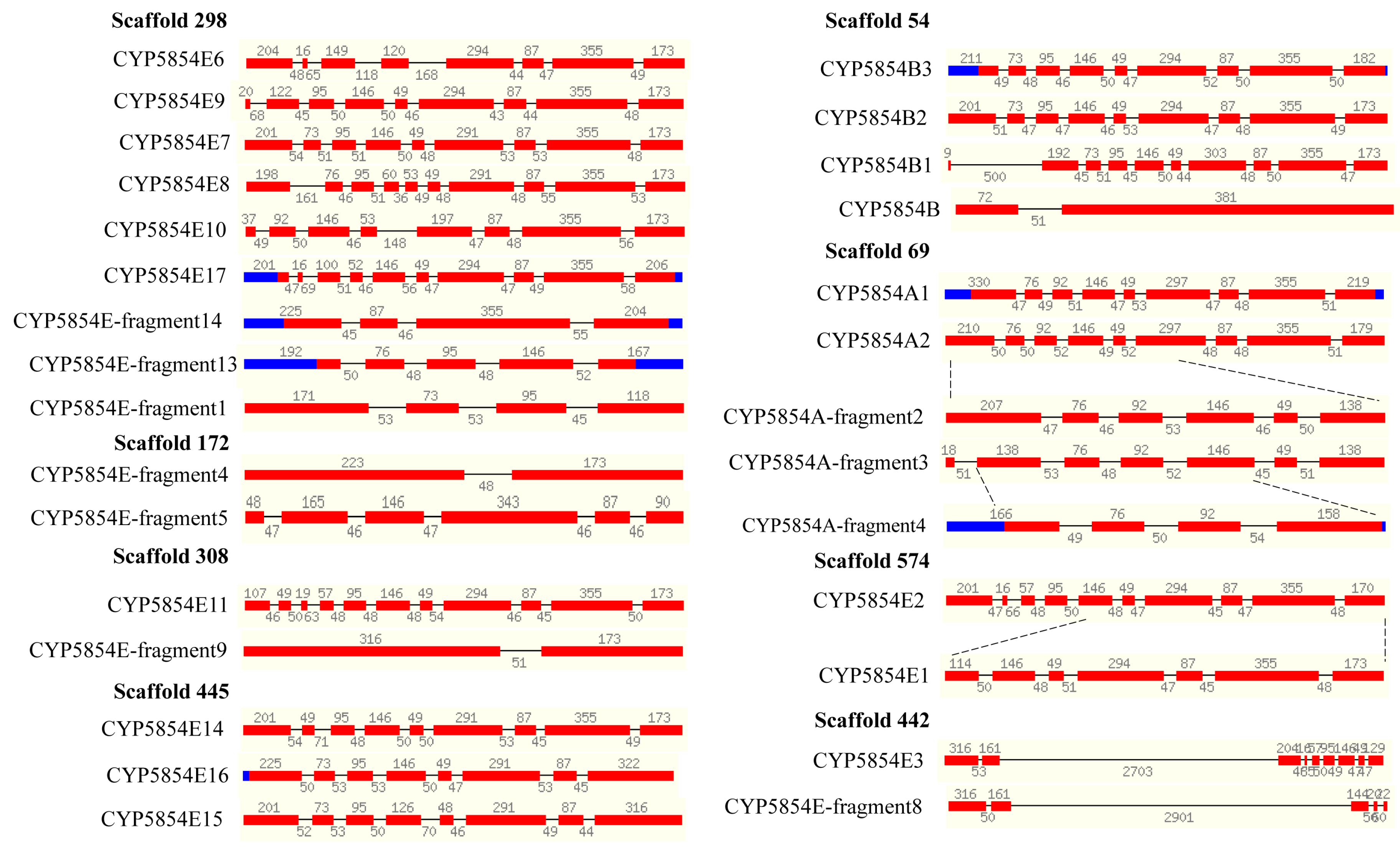 Ijms 19 01711 g005 Ijms 19 01711 g005