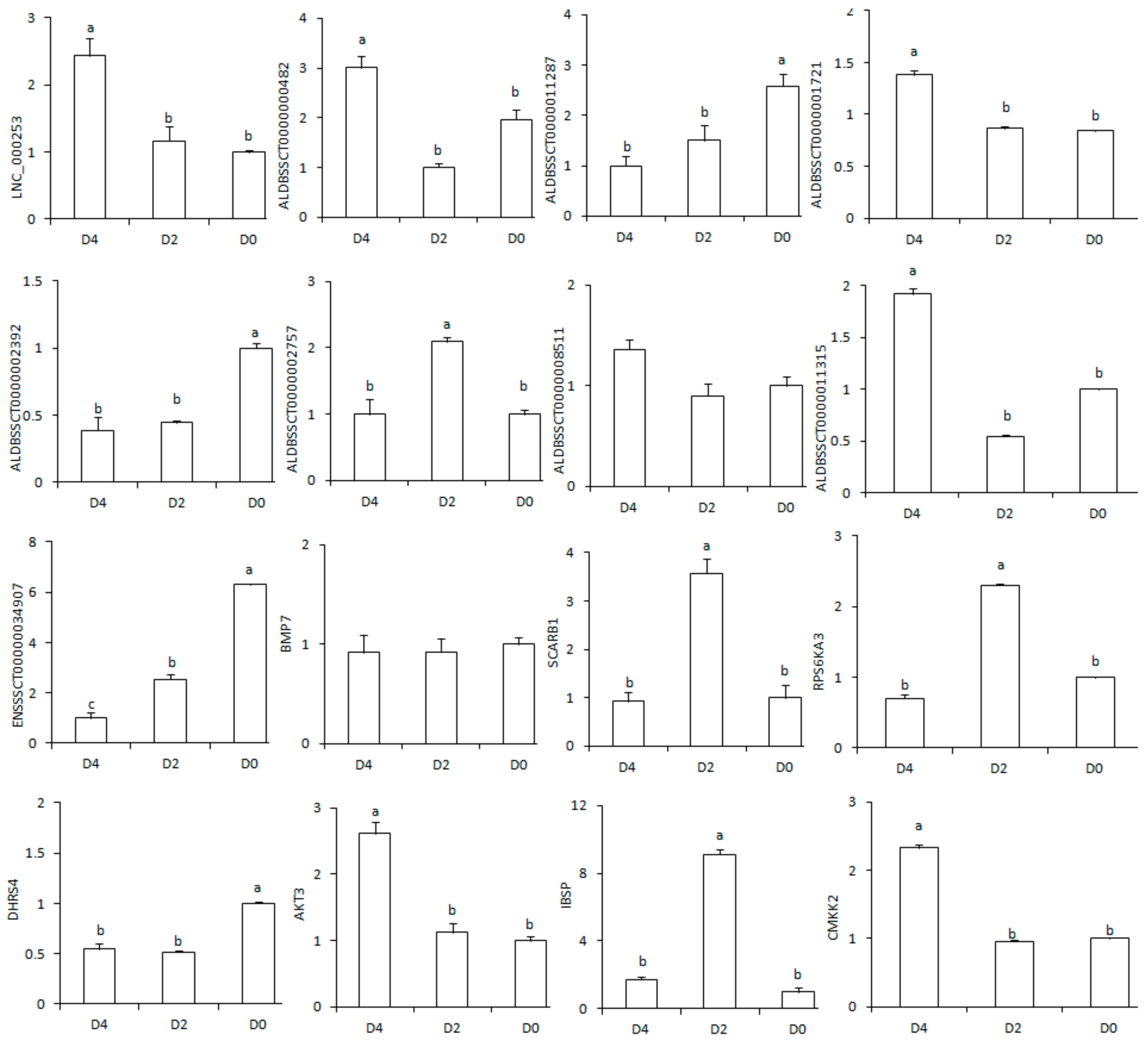 Ijms 19 01722 g003 Ijms 19 01722 g003