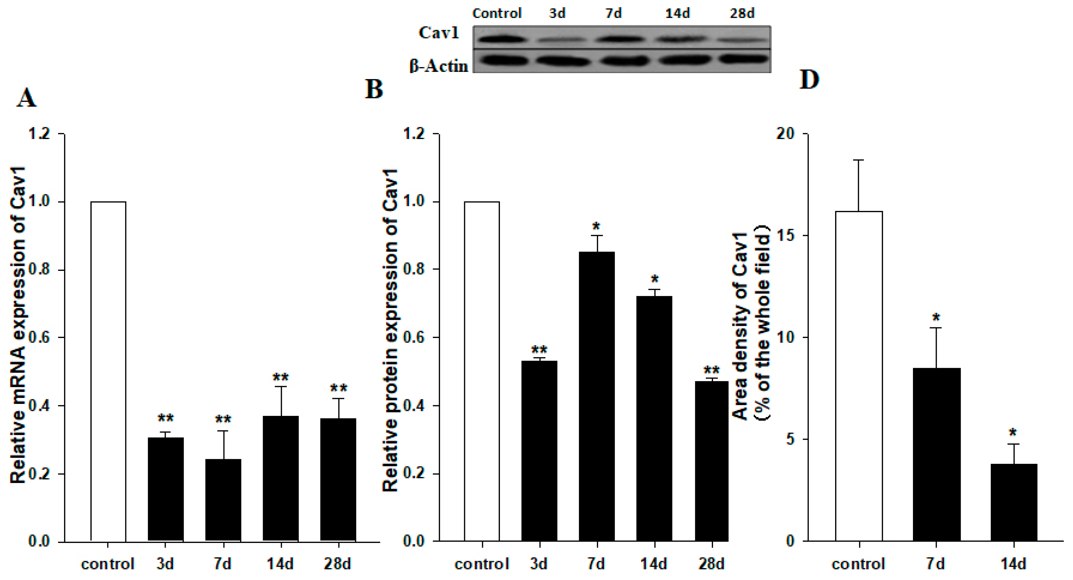 Ijms 19 01729 g001a Ijms 19 01729 g001a