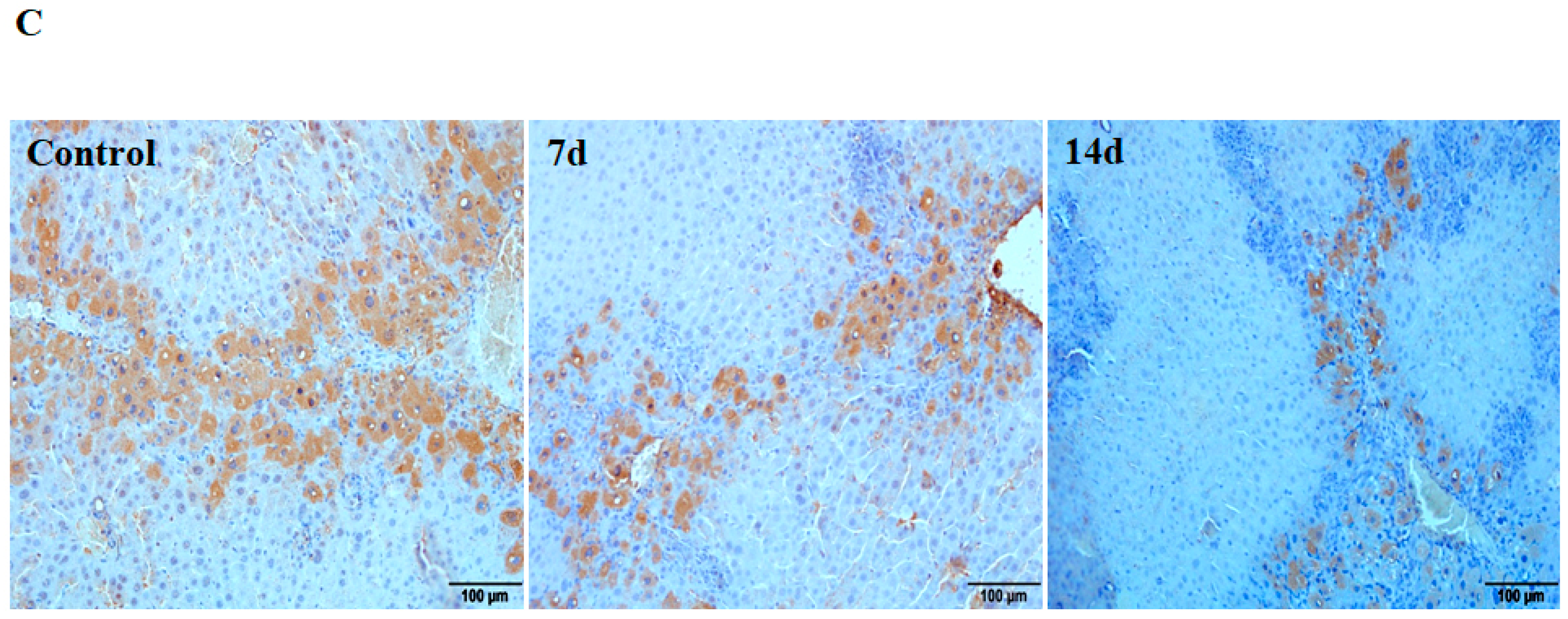 Ijms 19 01729 g001b Ijms 19 01729 g001b