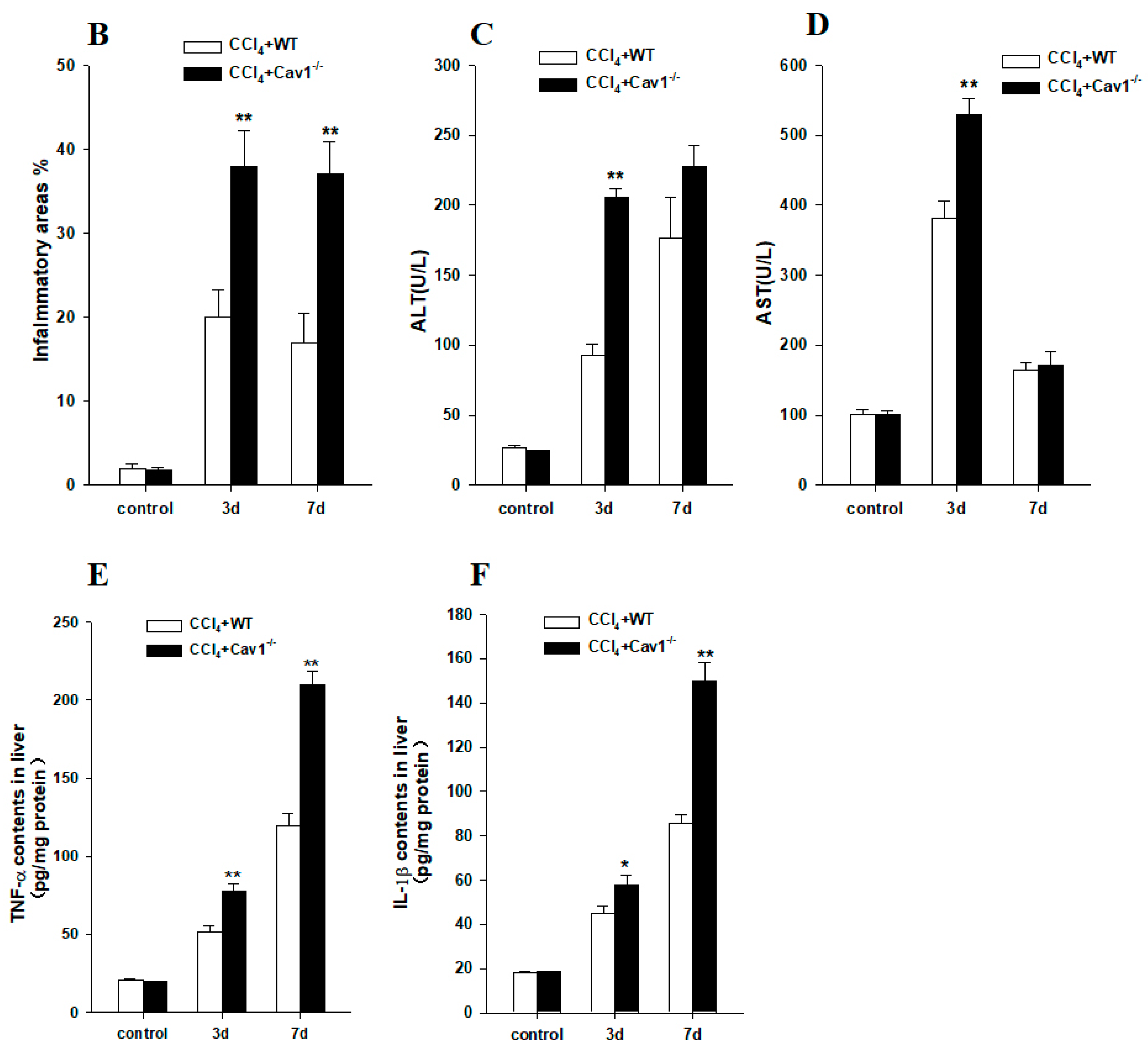 Ijms 19 01729 g002b Ijms 19 01729 g002b