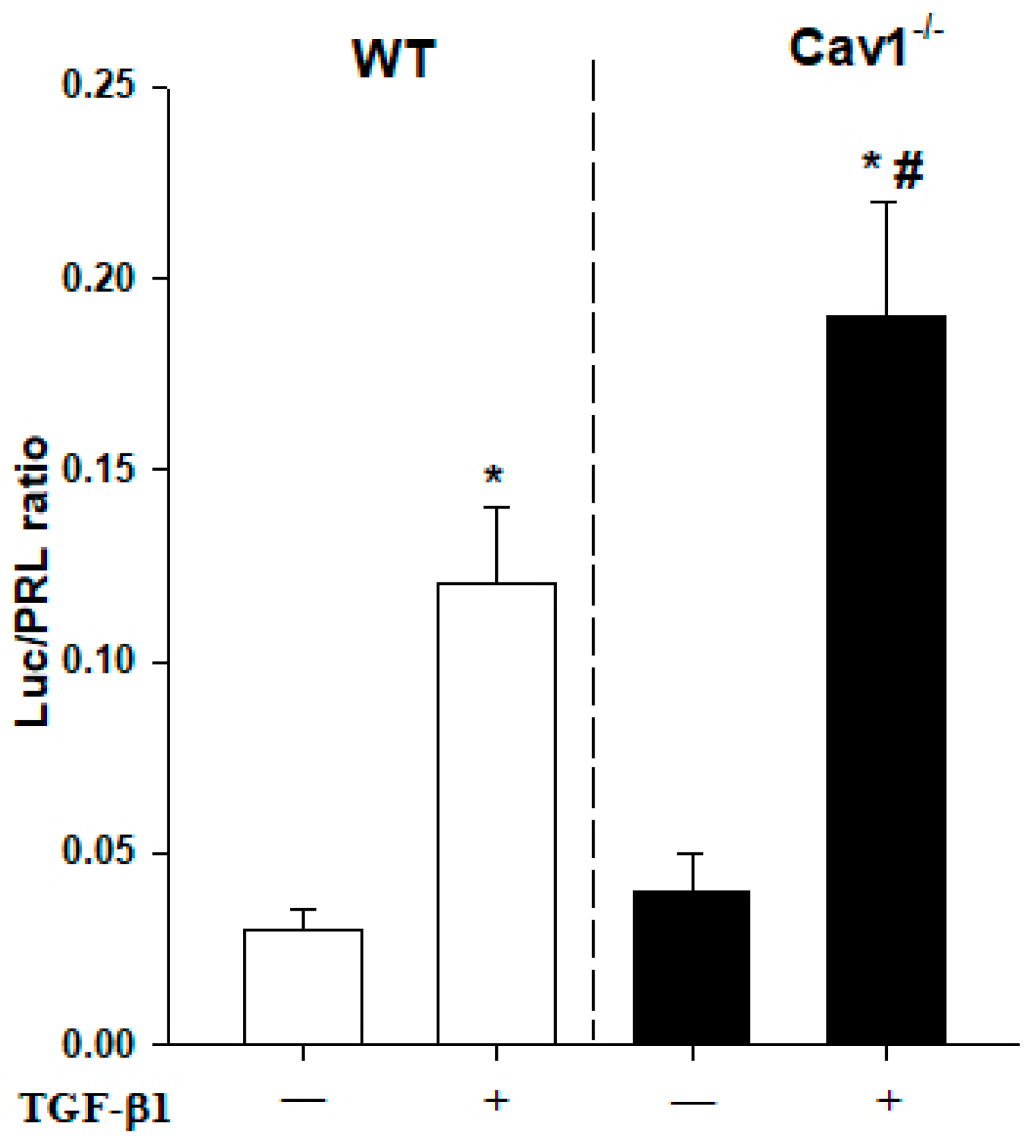 Ijms 19 01729 g006 Ijms 19 01729 g006