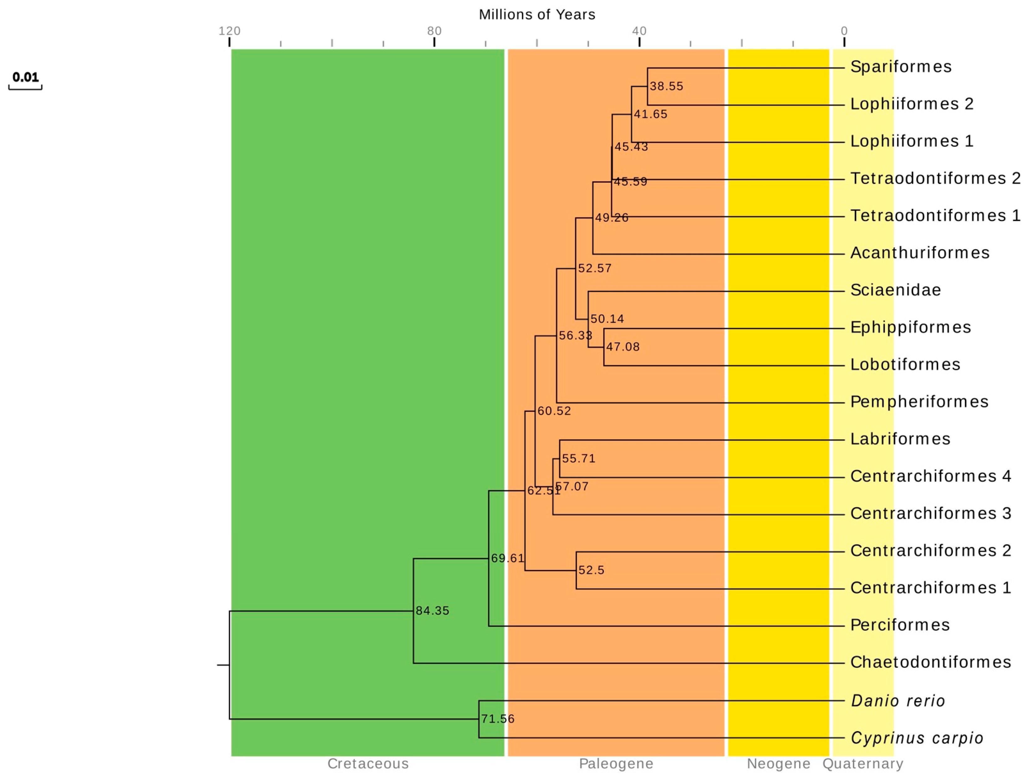 Ijms 19 01741 g009 Ijms 19 01741 g009