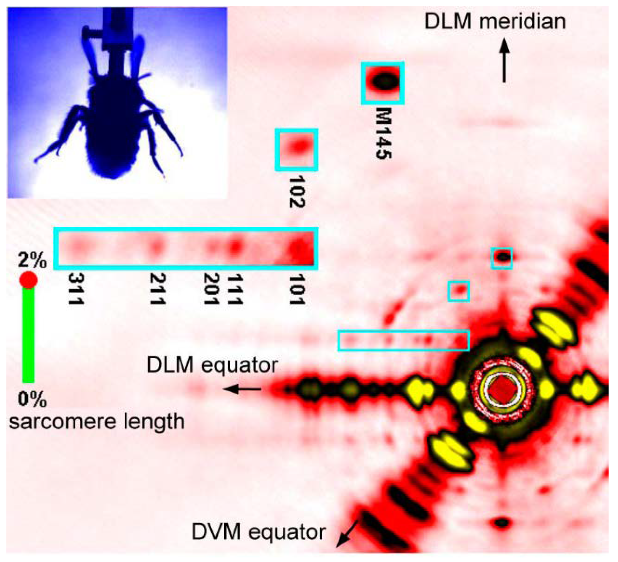 Ijms 19 01748 g005 Ijms 19 01748 g005