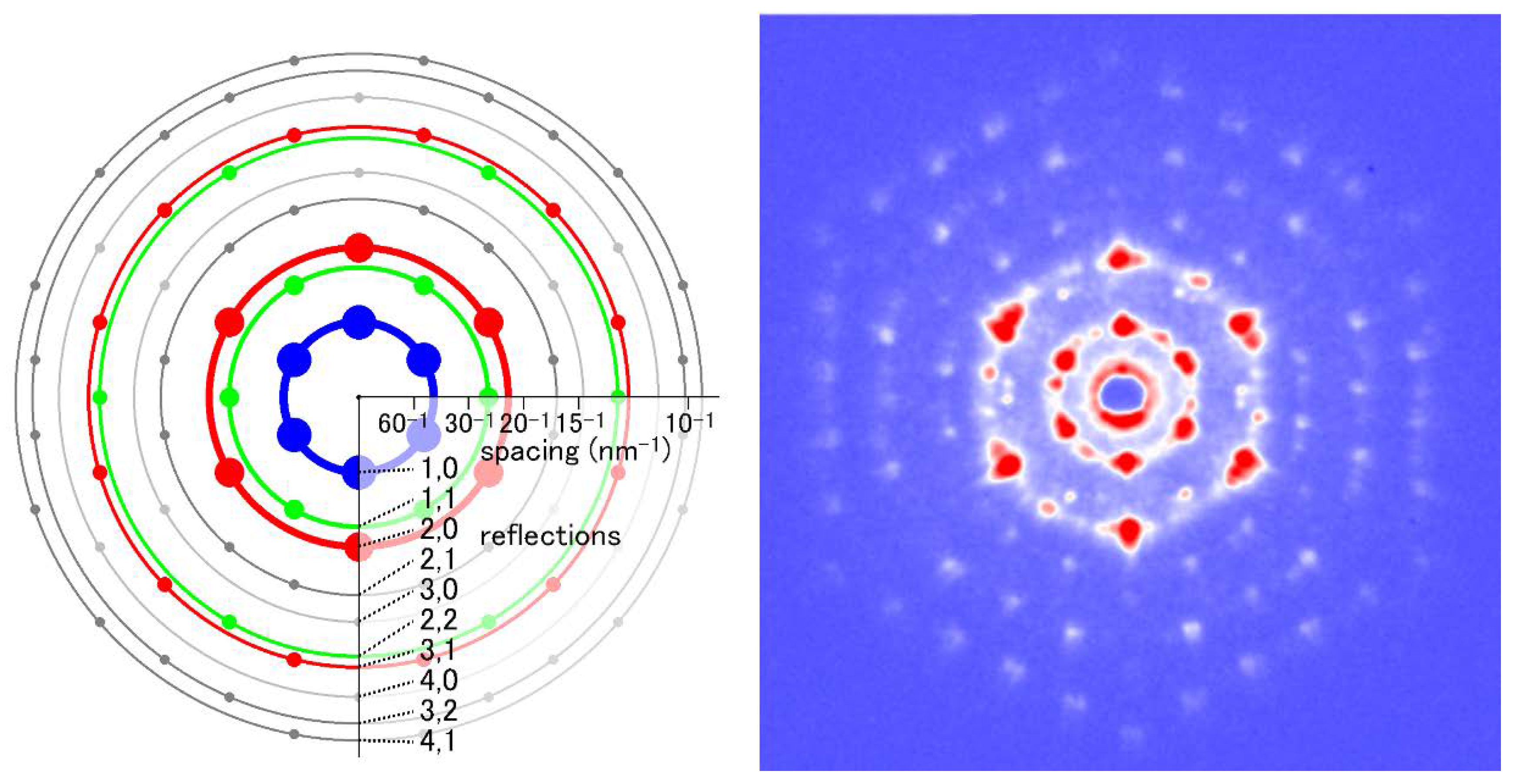 Ijms 19 01748 g008 Ijms 19 01748 g008