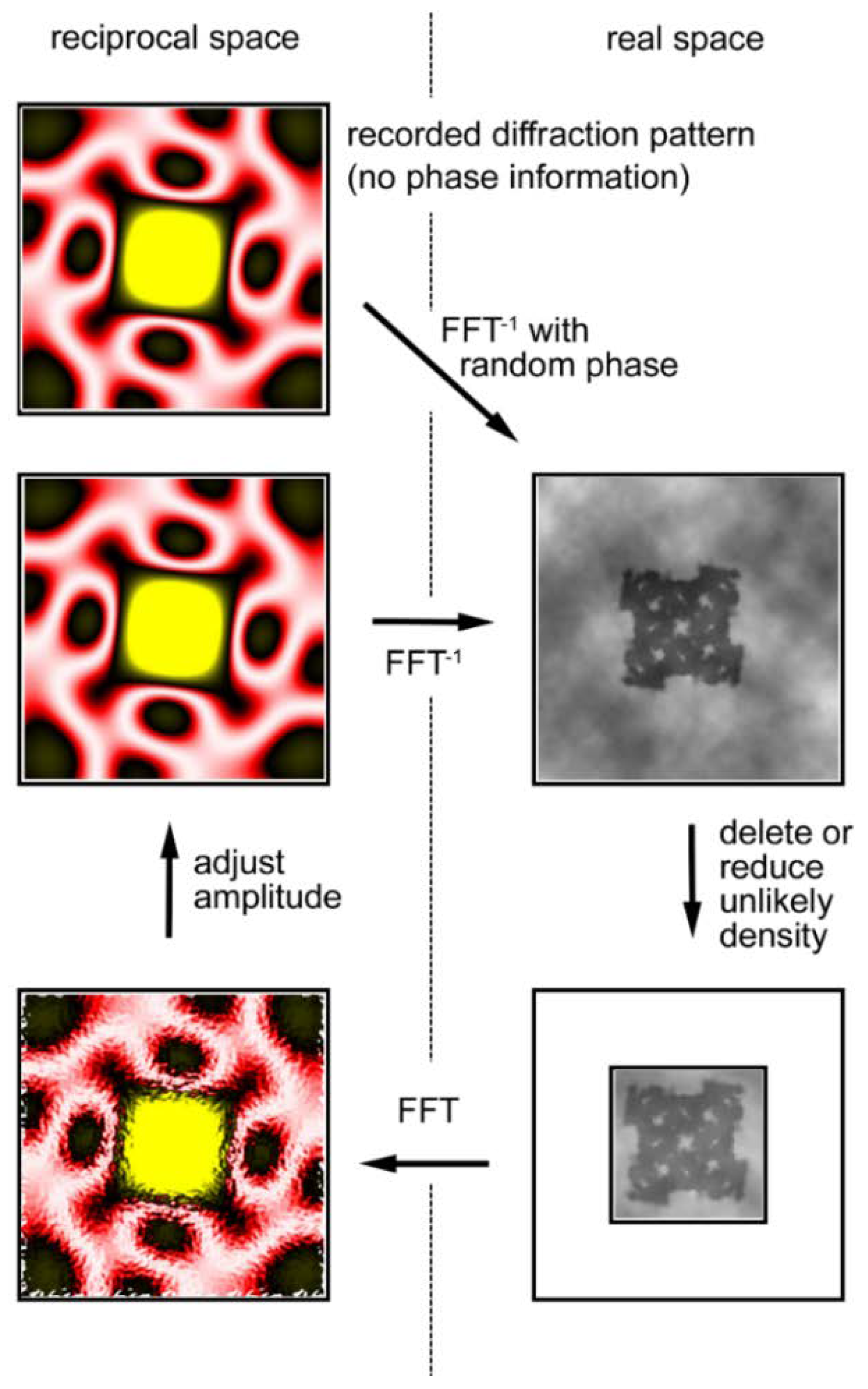 Ijms 19 01748 g009 Ijms 19 01748 g009