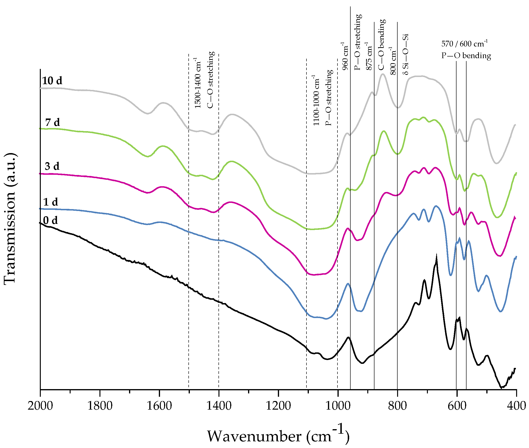 Ijms 19 01807 g007 Ijms 19 01807 g007