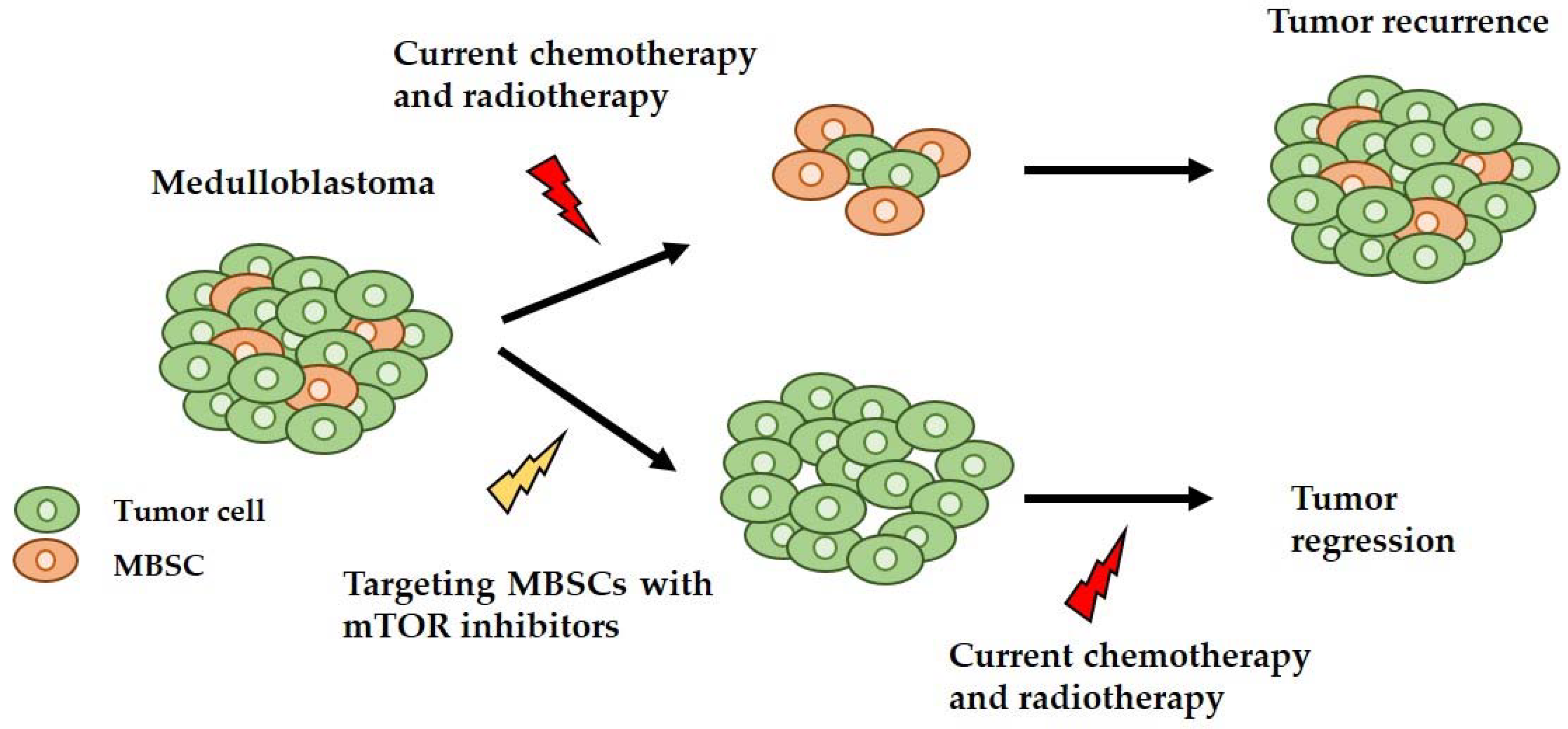 Ijms 19 01838 g003 Ijms 19 01838 g003