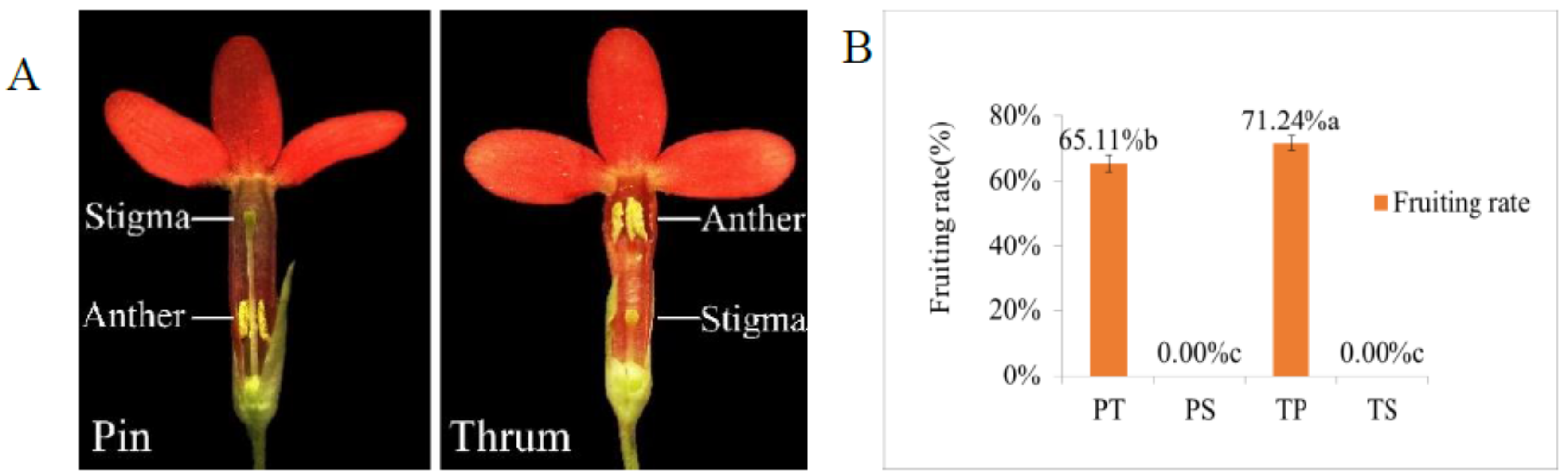 Ijms 19 01840 g001 Ijms 19 01840 g001