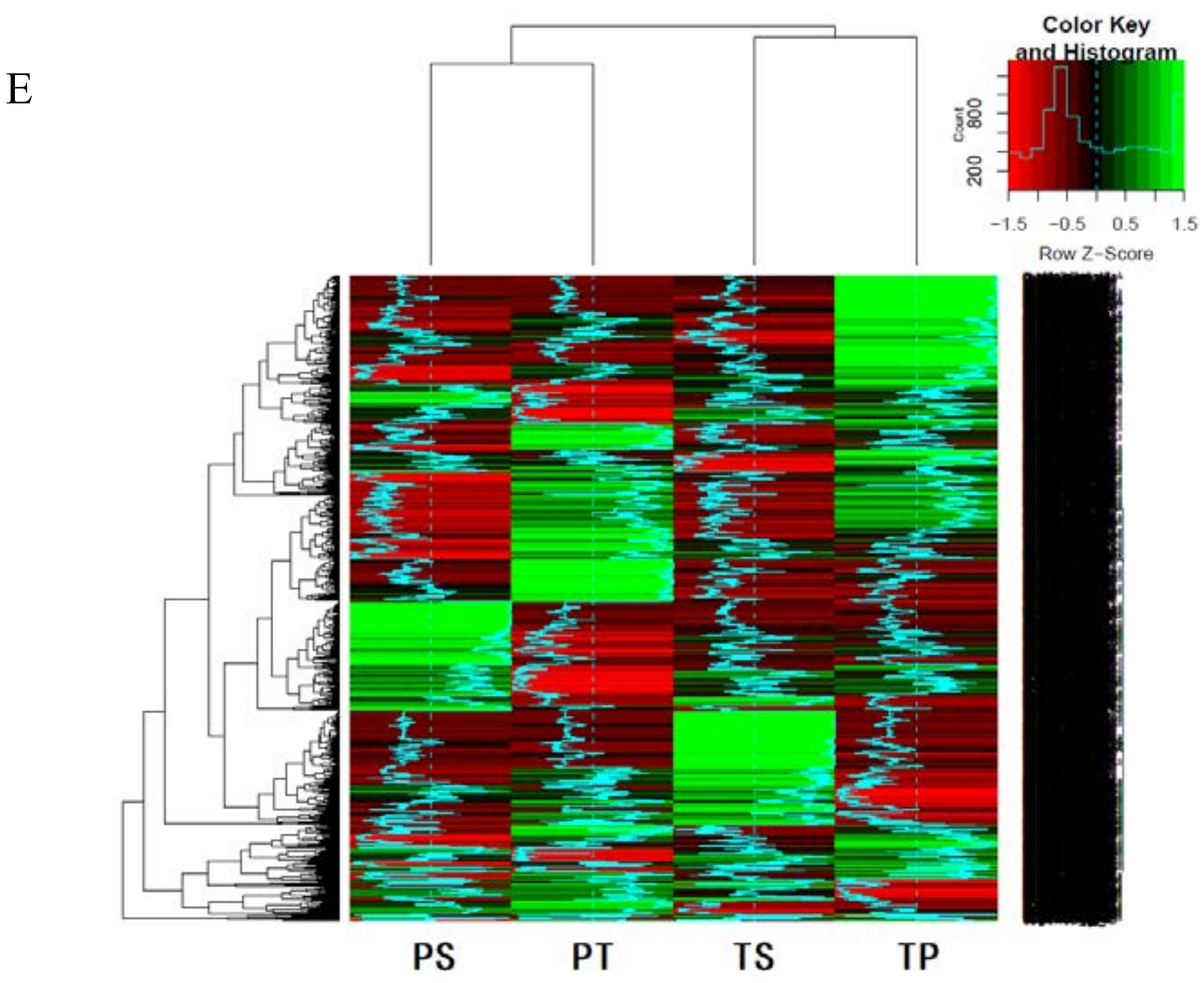 Ijms 19 01840 g003b Ijms 19 01840 g003b