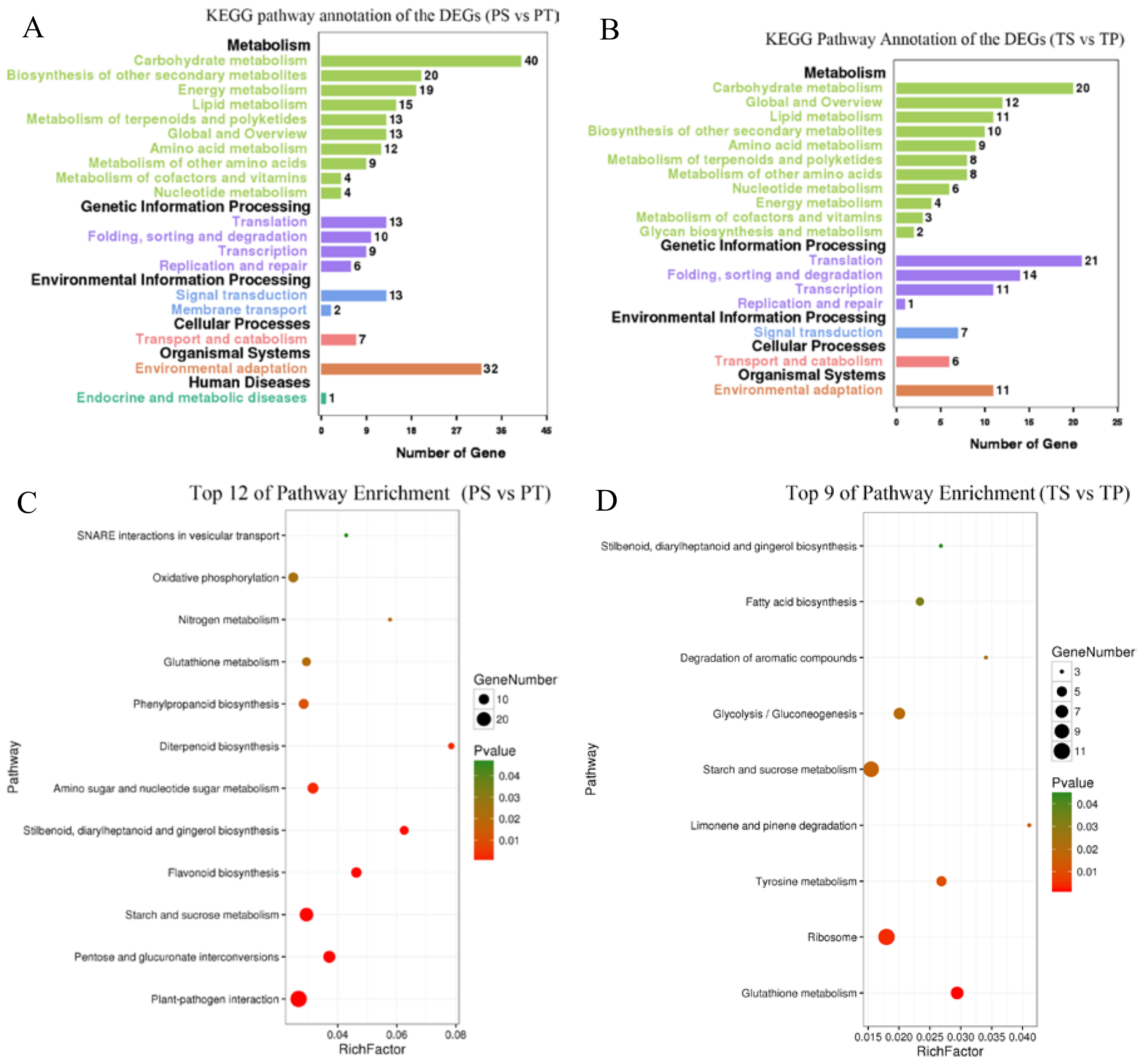 Ijms 19 01840 g004 Ijms 19 01840 g004