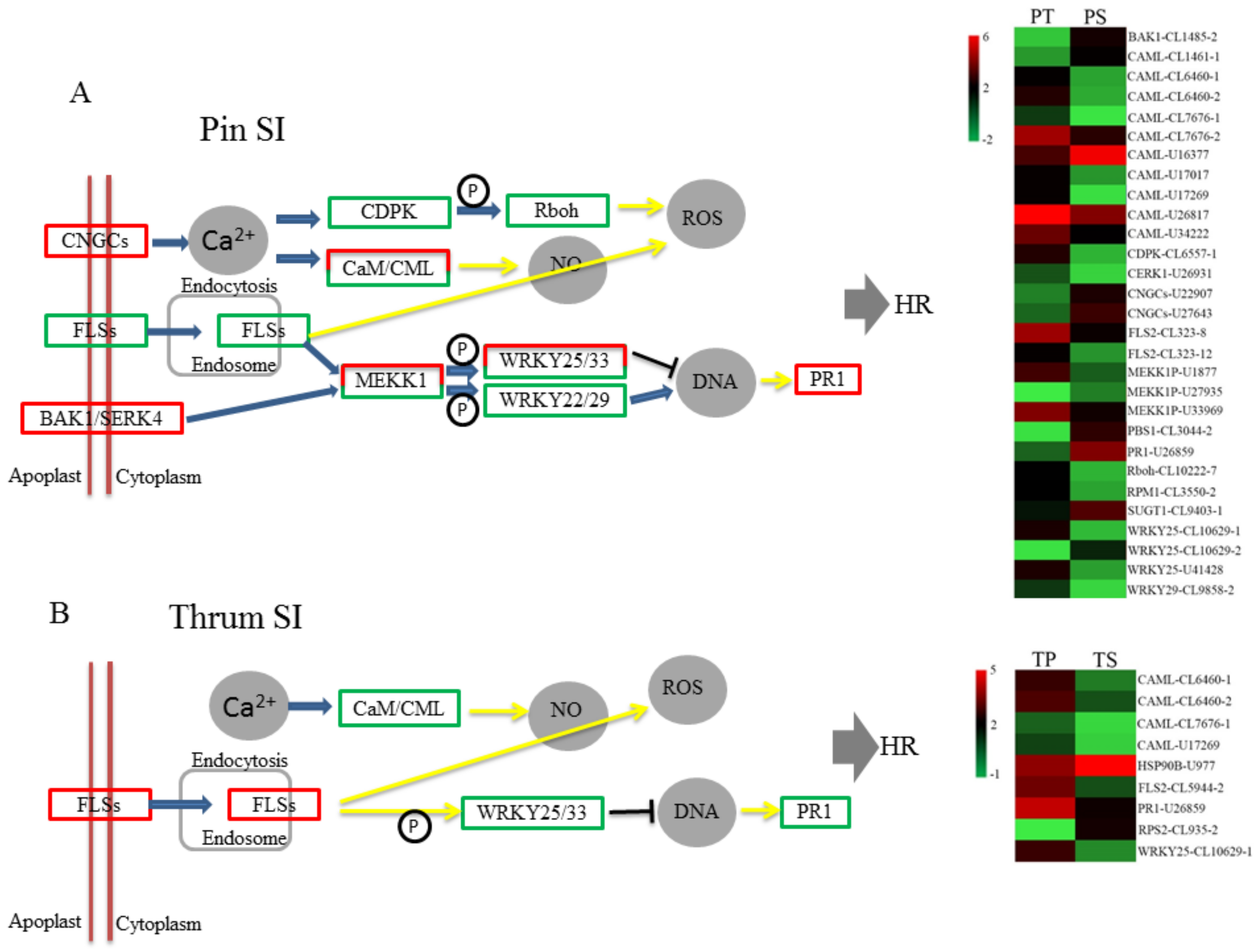 Ijms 19 01840 g008 Ijms 19 01840 g008