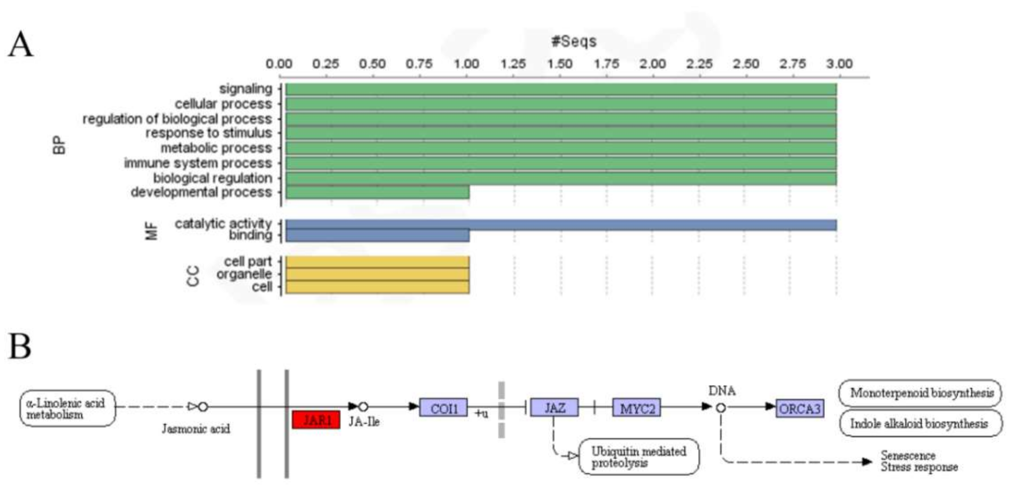 Ijms 19 01850 g004
