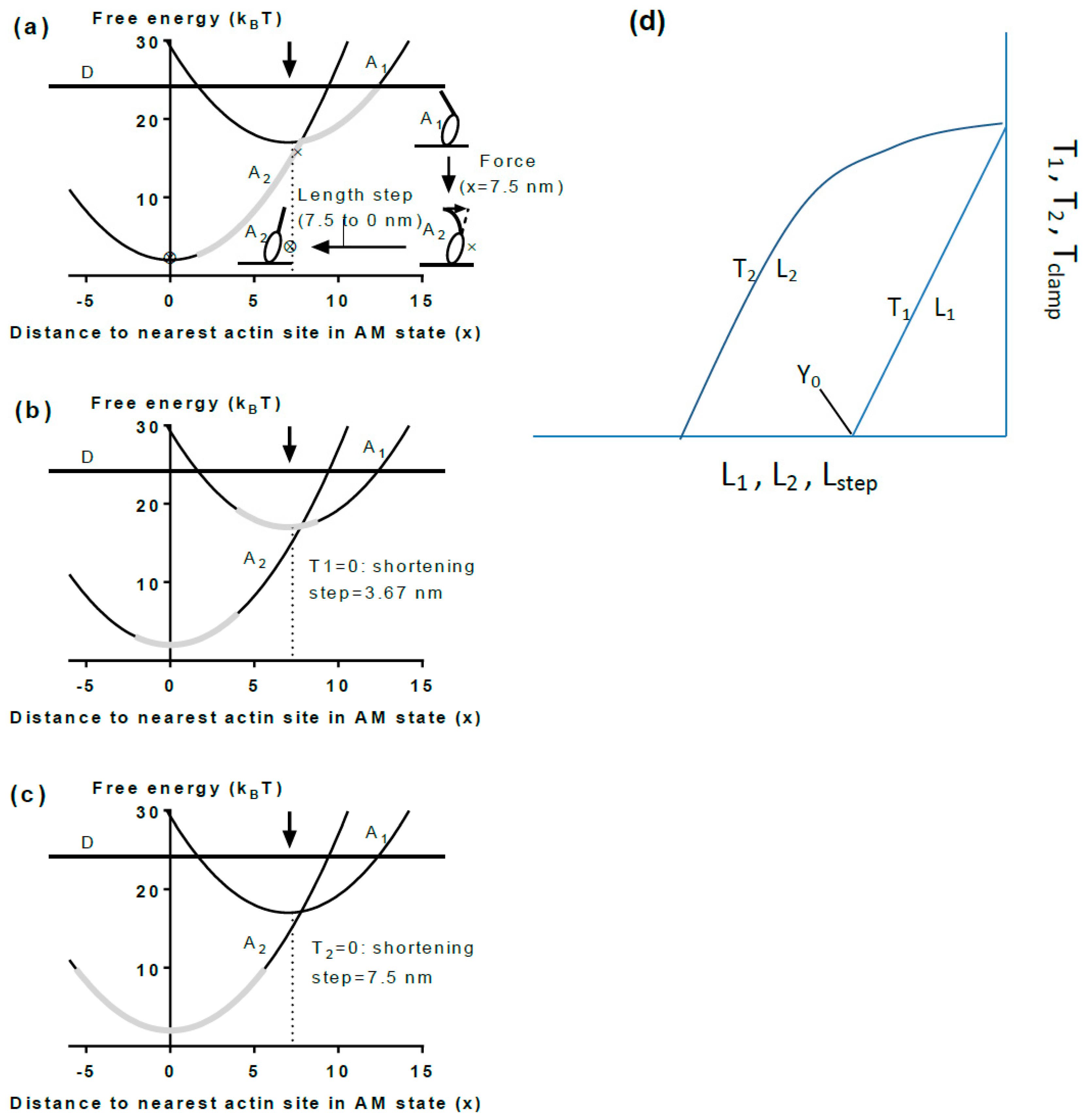Ijms 19 01863 g006 Ijms 19 01863 g006