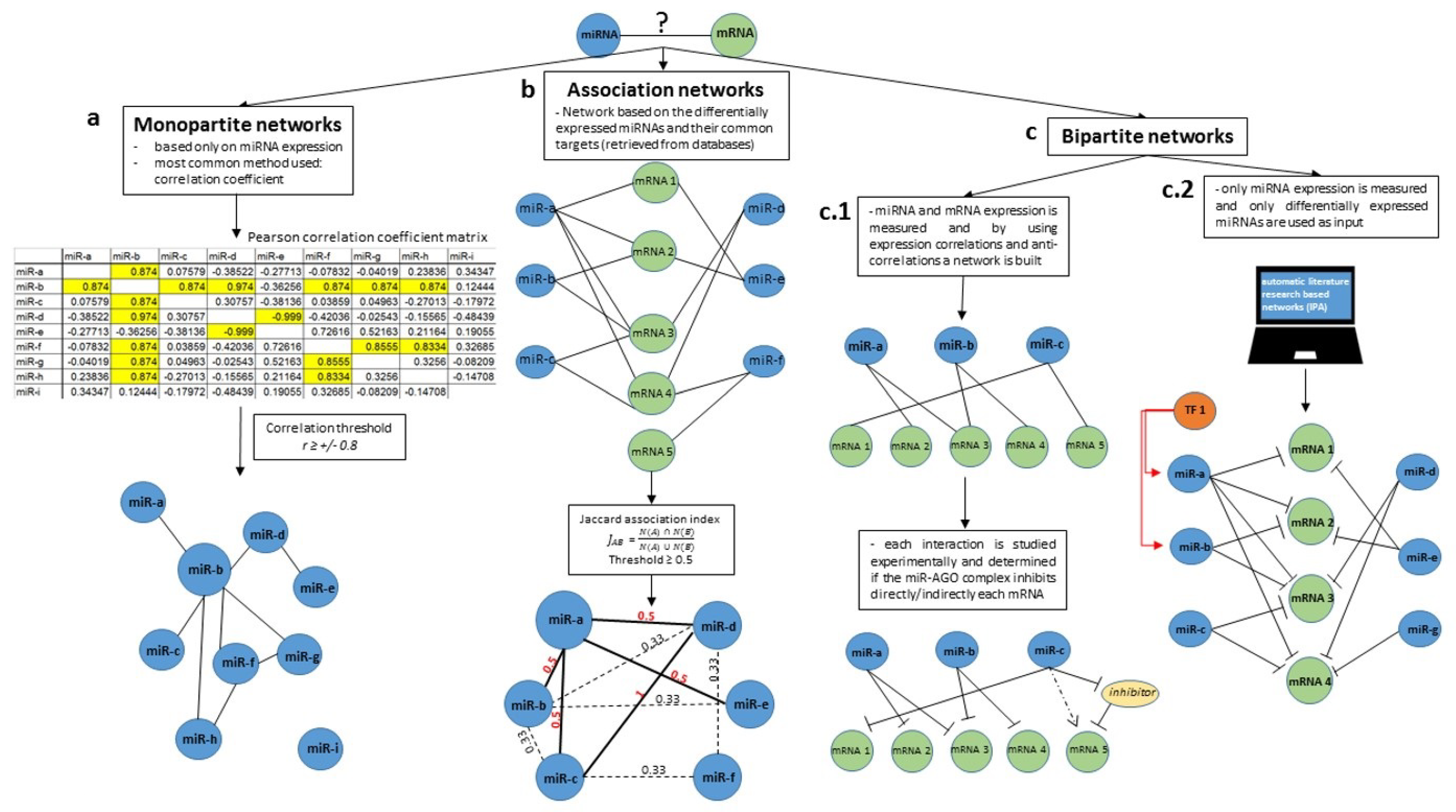 Ijms 19 01871 g001 Ijms 19 01871 g001