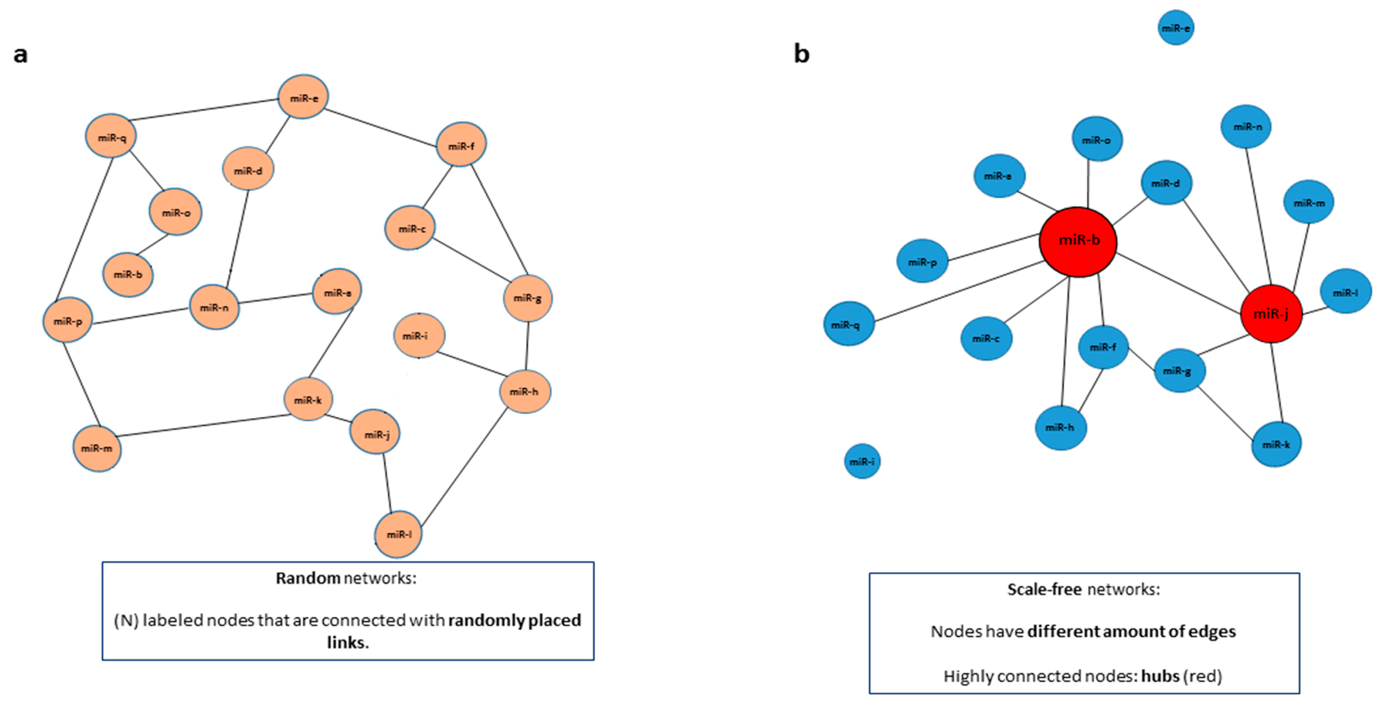 Ijms 19 01871 g002 Ijms 19 01871 g002