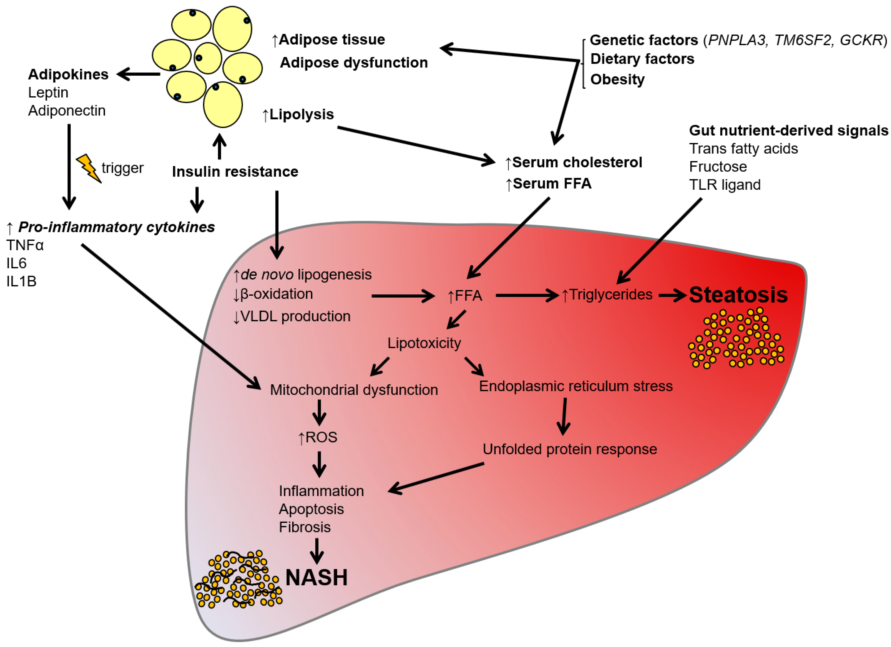 Ijms 19 01893 g002 Ijms 19 01893 g002