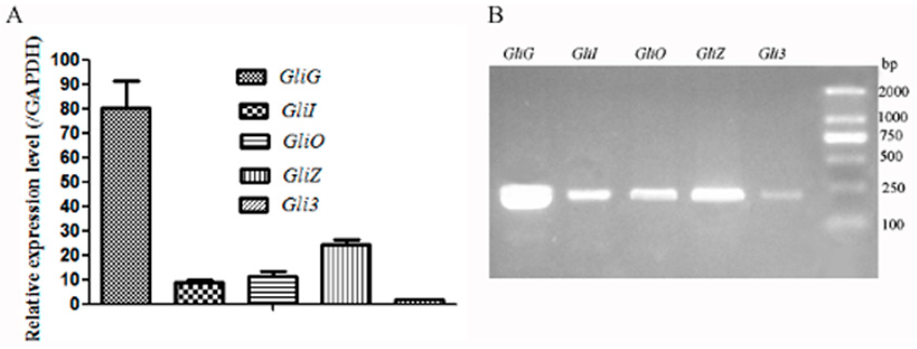 Ijms 19 01910 g003 Ijms 19 01910 g003