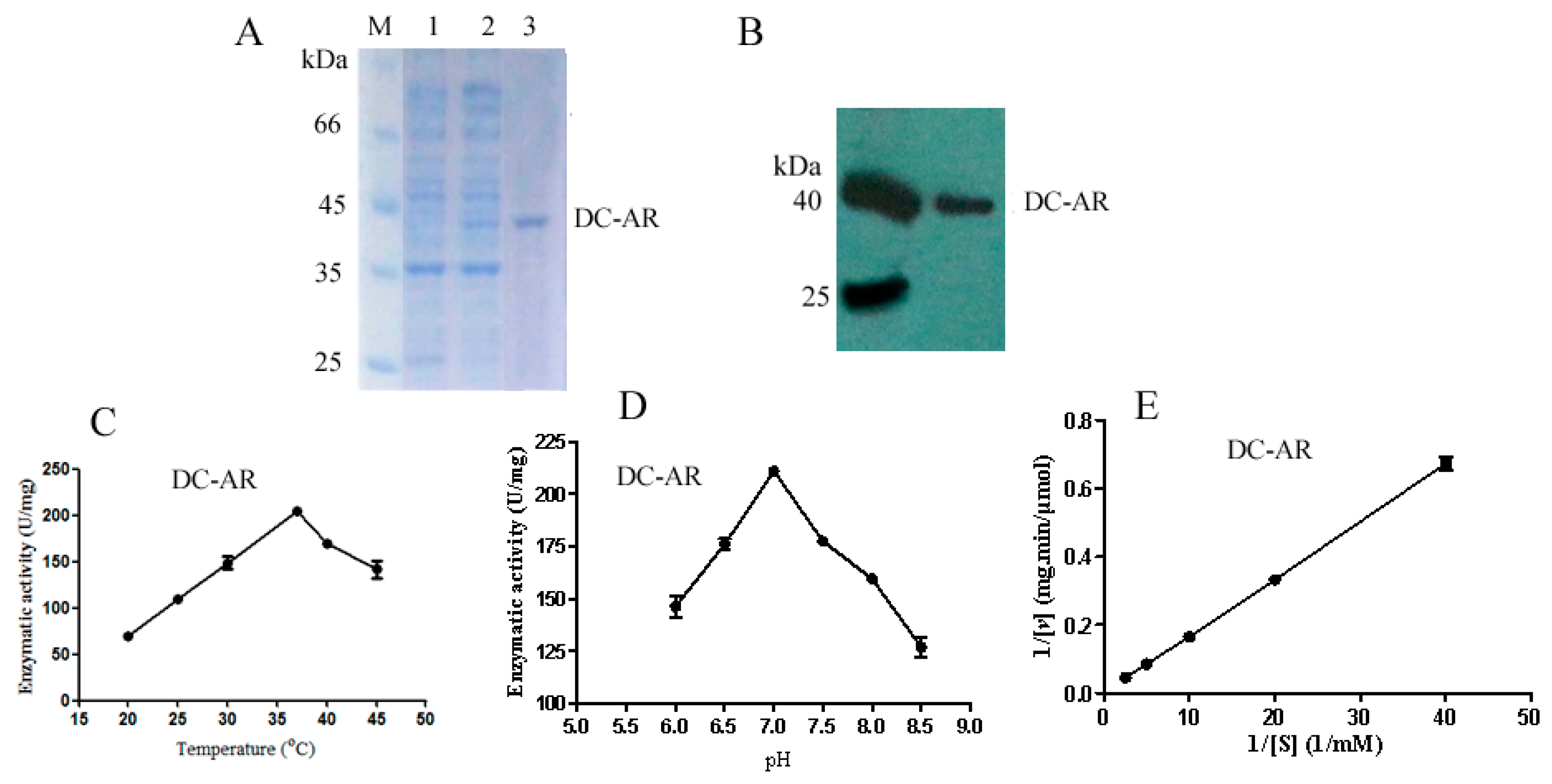 Ijms 19 01910 g006 Ijms 19 01910 g006