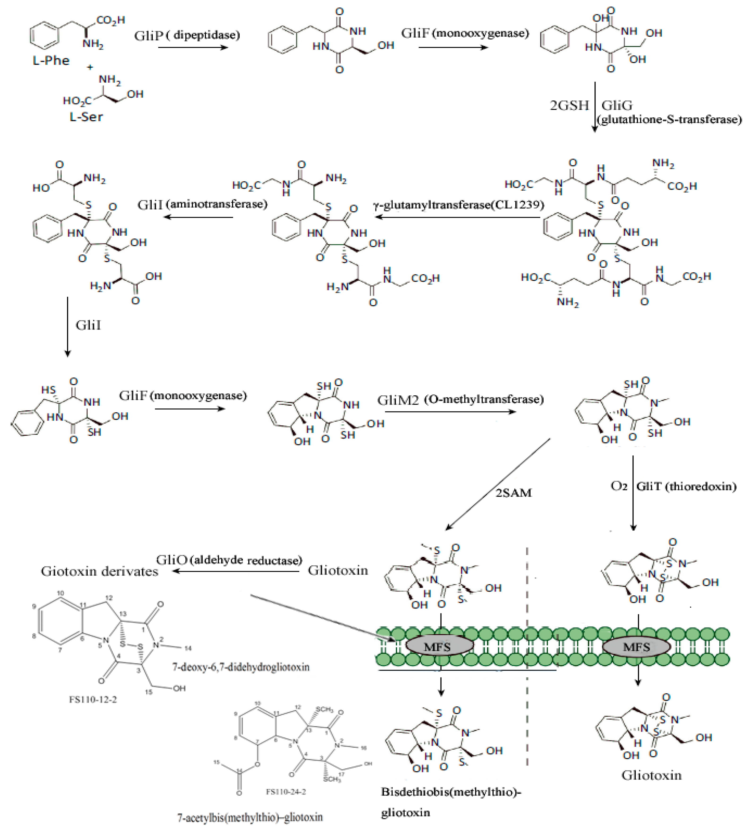 Ijms 19 01910 g007 Ijms 19 01910 g007