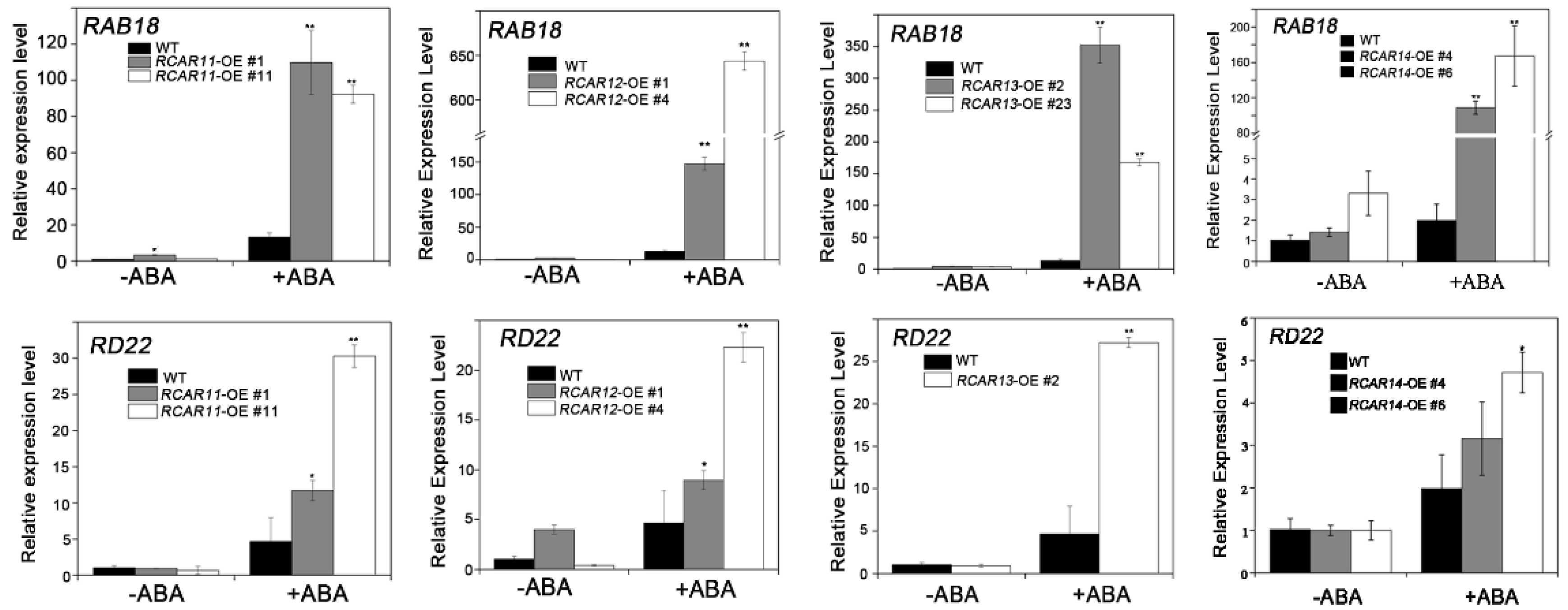 Ijms 19 01938 g006 Ijms 19 01938 g006