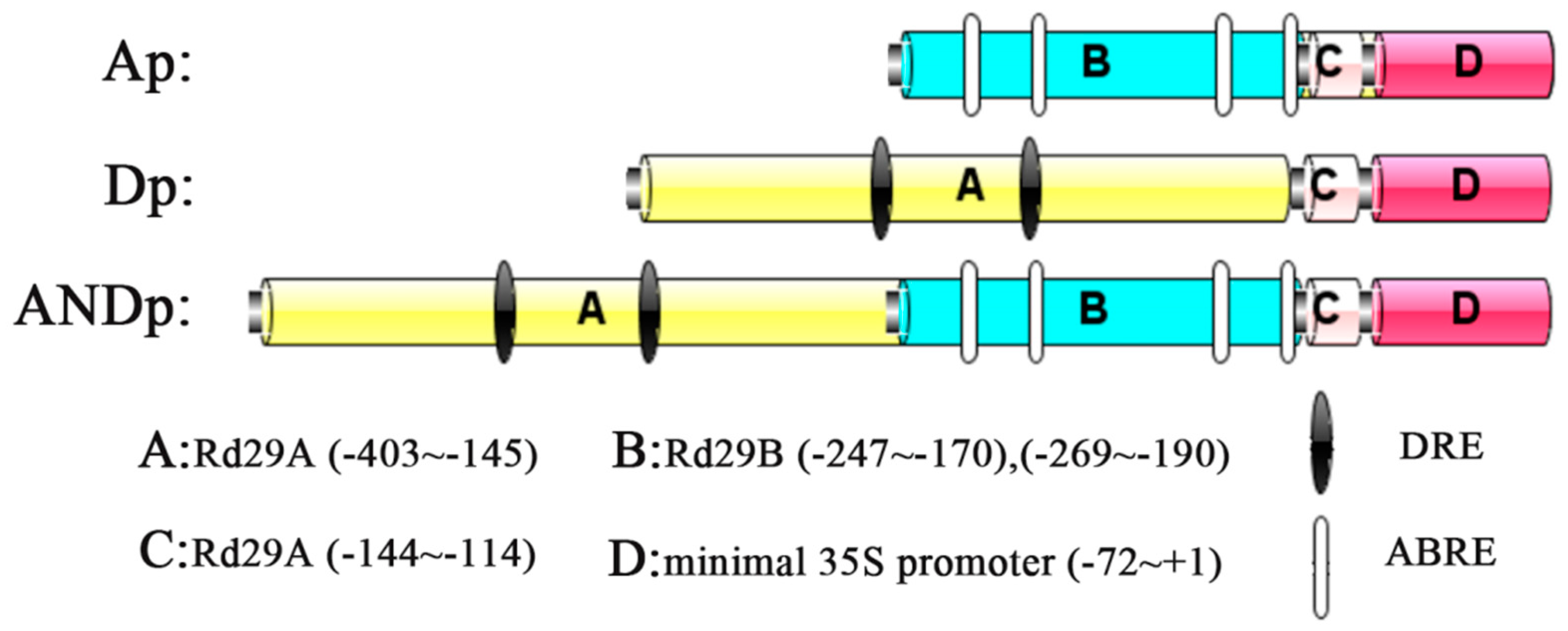 Ijms 19 01945 g001 Ijms 19 01945 g001
