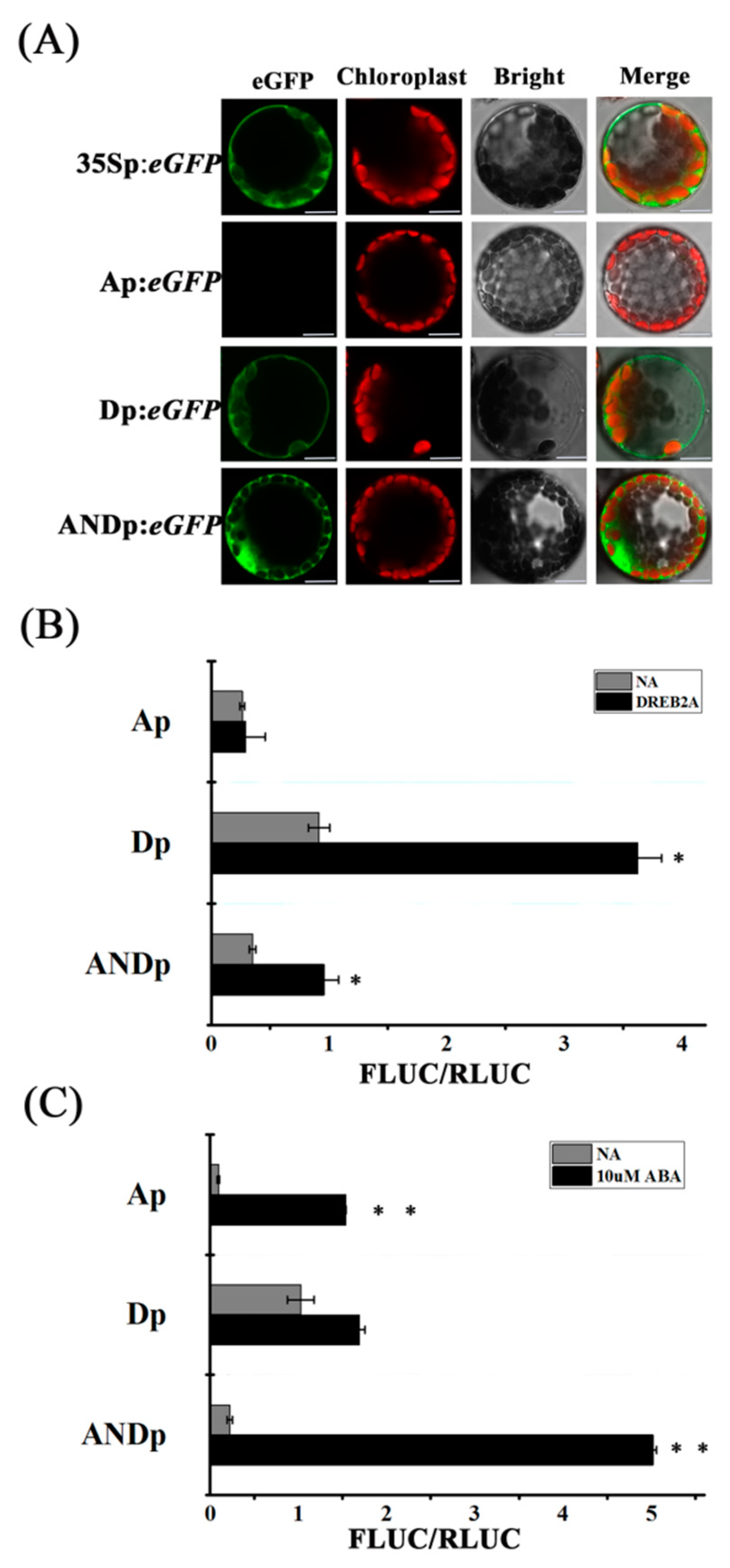 Ijms 19 01945 g002 Ijms 19 01945 g002