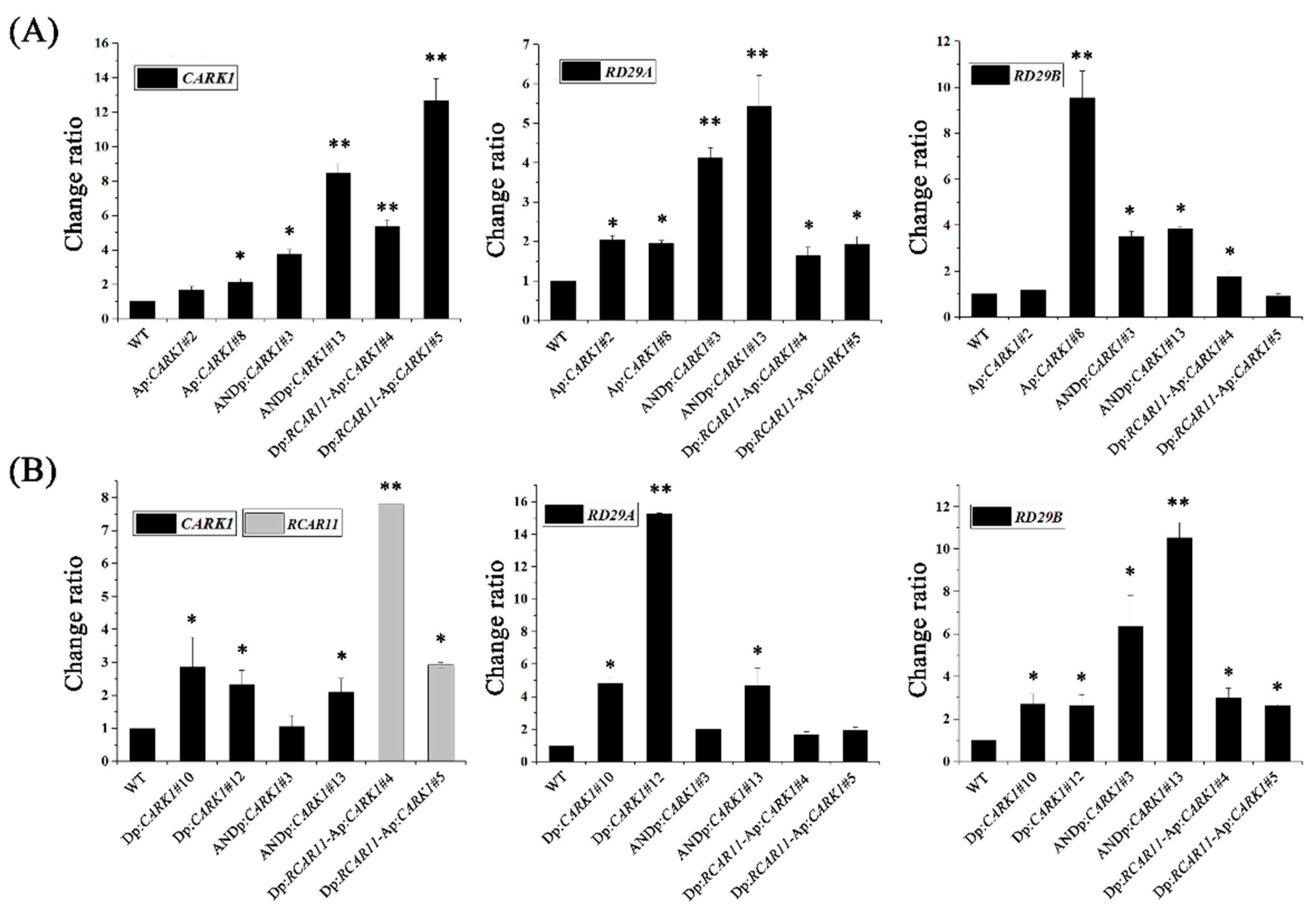 Ijms 19 01945 g003 Ijms 19 01945 g003