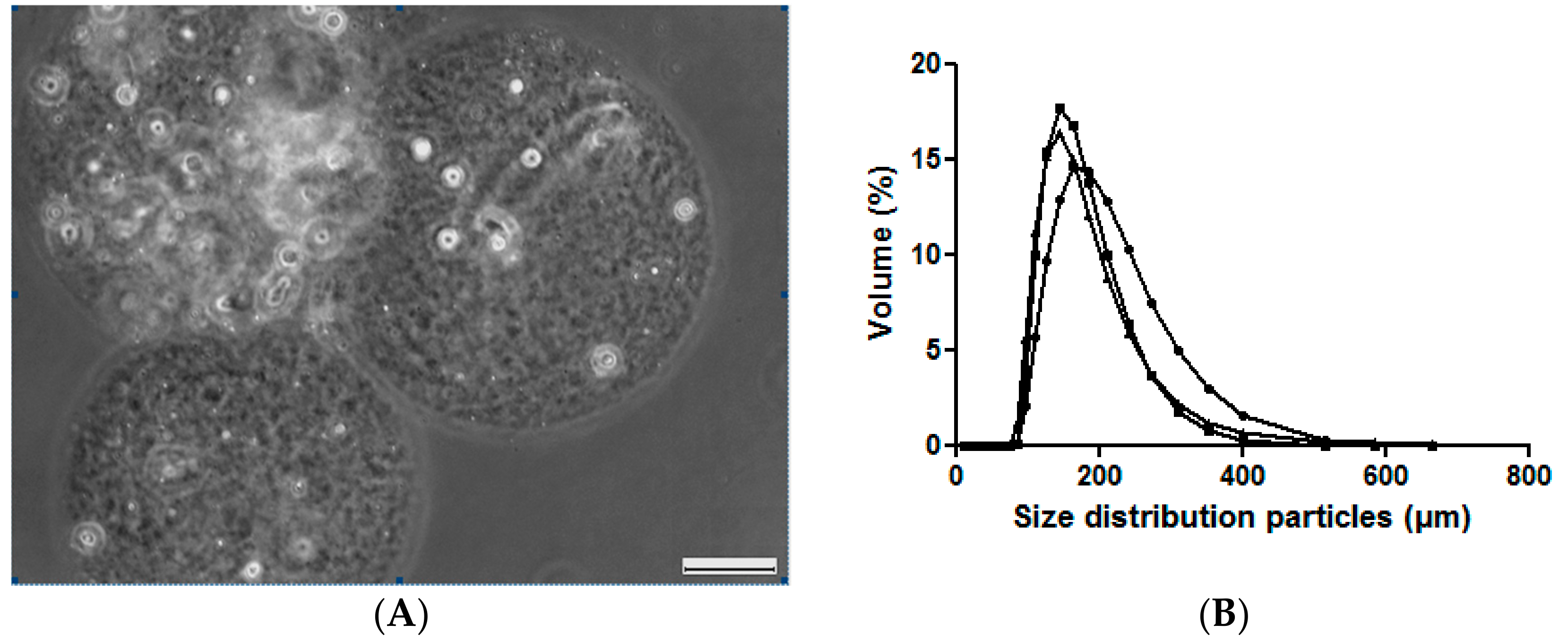 Ijms 19 01952 g002 Ijms 19 01952 g002