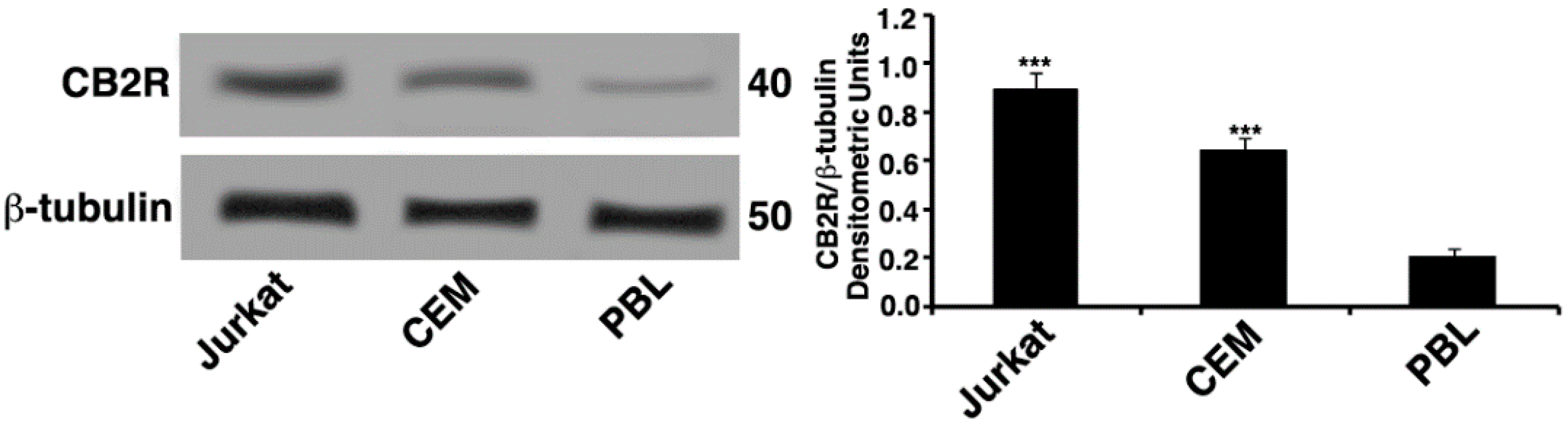 Ijms 19 01958 g001 Ijms 19 01958 g001