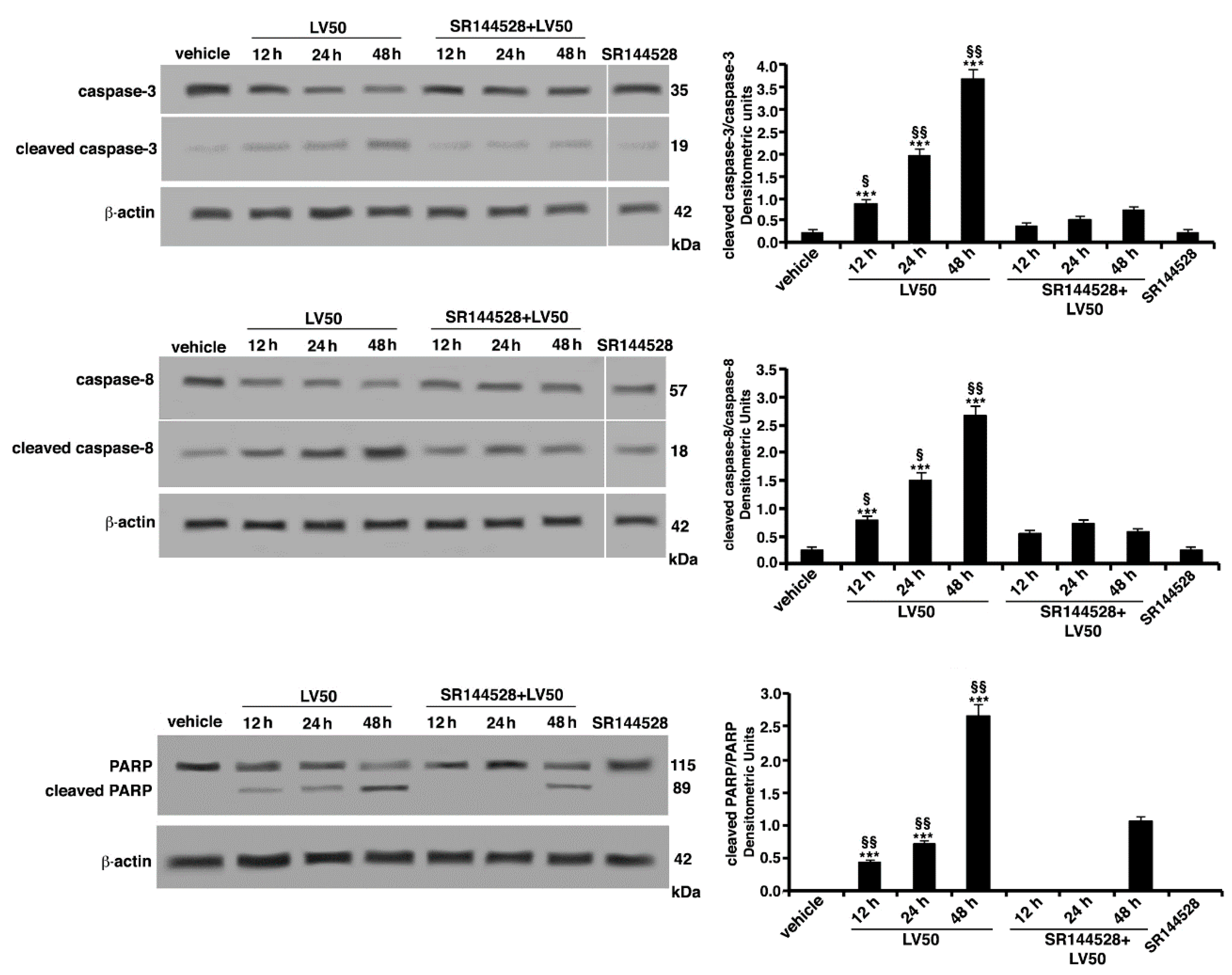 Ijms 19 01958 g005 Ijms 19 01958 g005