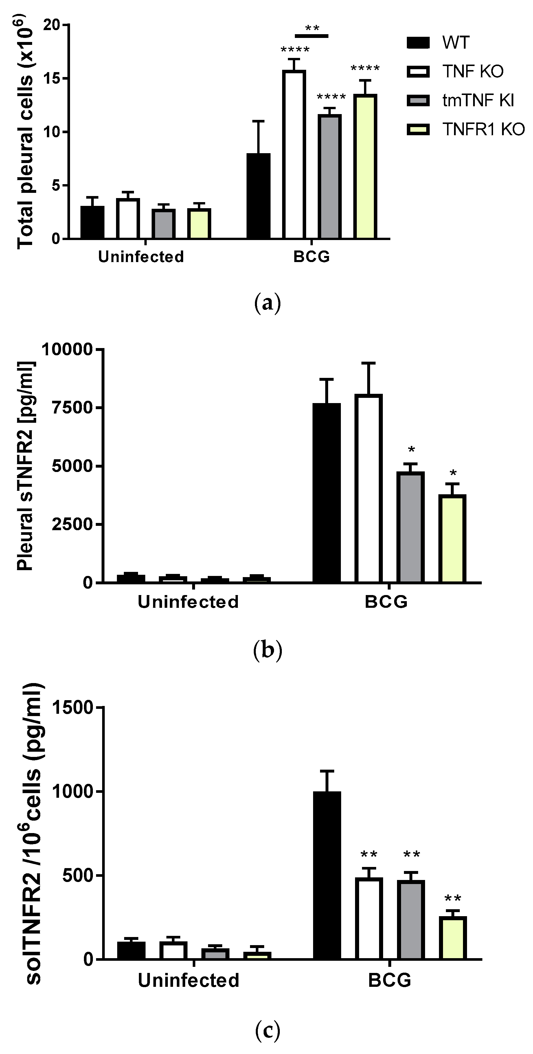 Ijms 19 01959 g001 Ijms 19 01959 g001