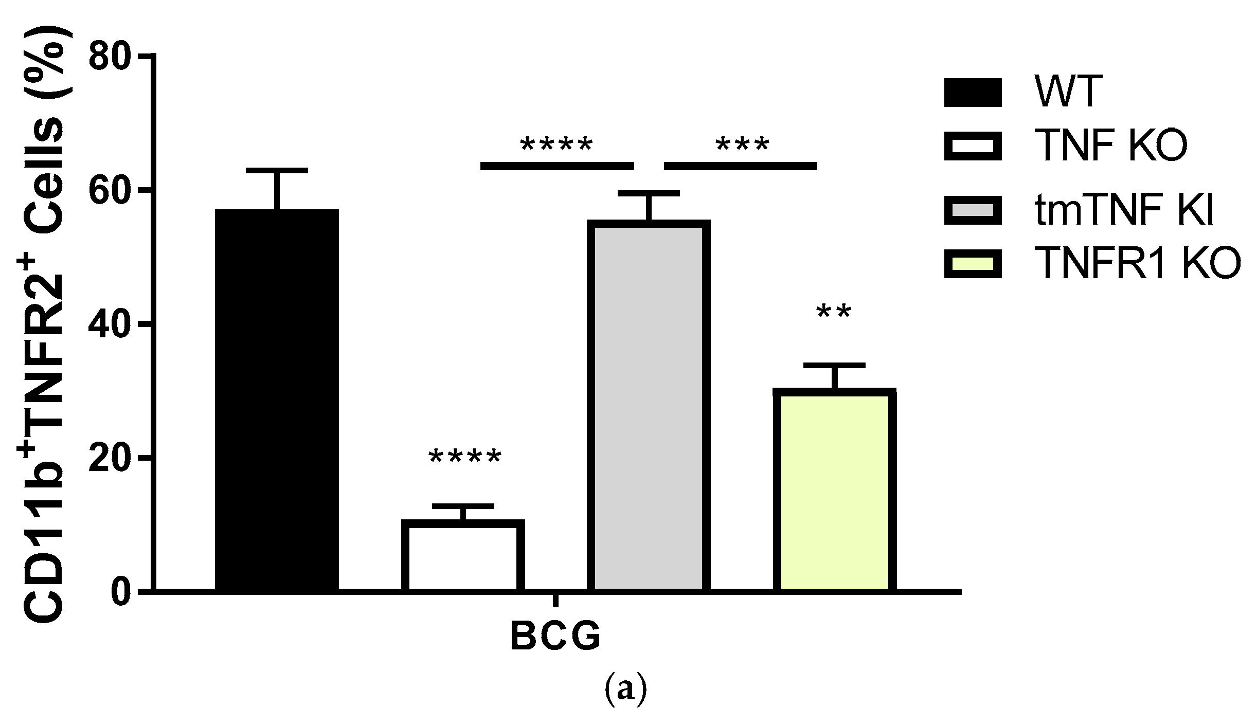 Ijms 19 01959 g002a Ijms 19 01959 g002a