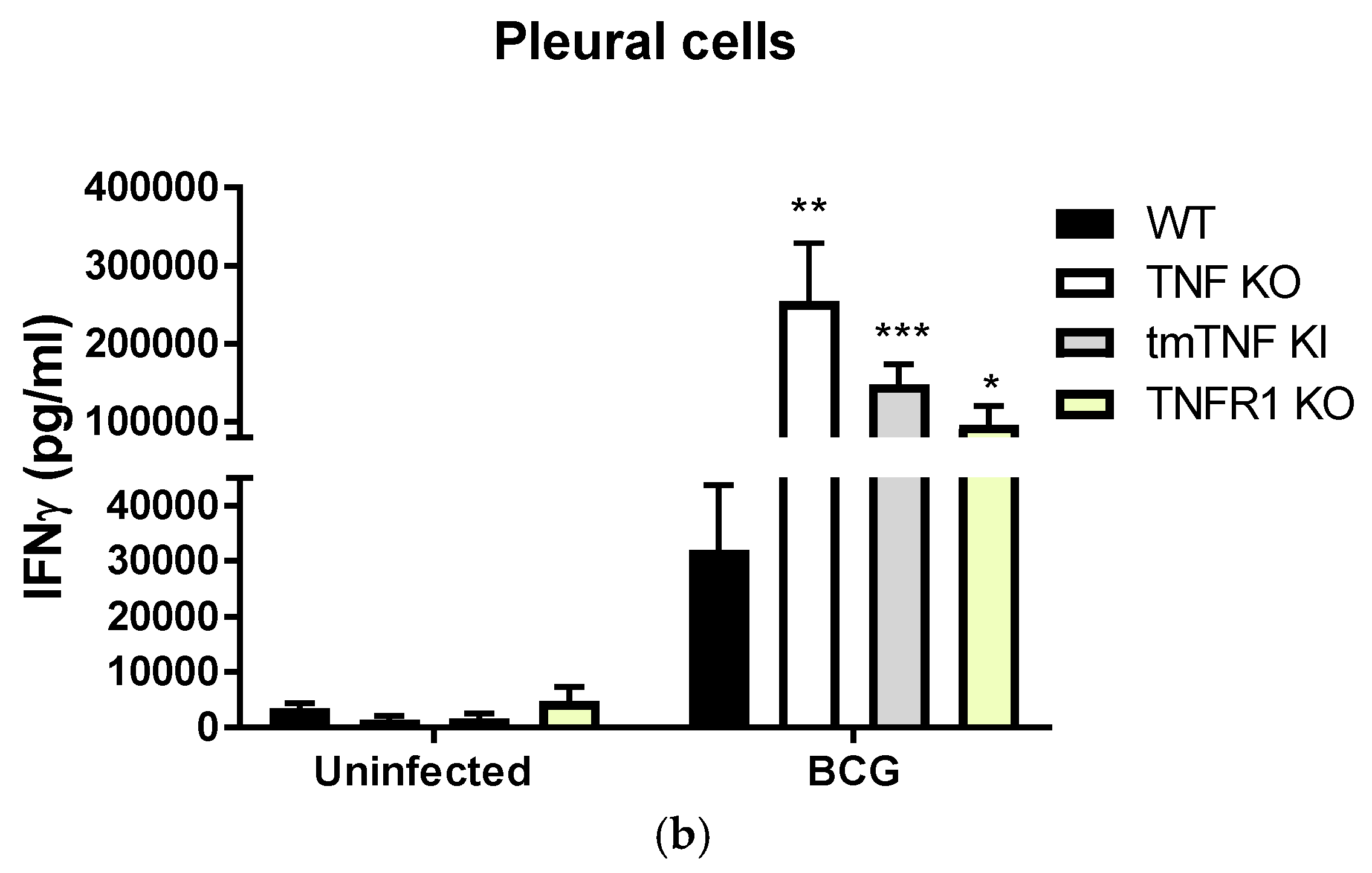 Ijms 19 01959 g004b Ijms 19 01959 g004b